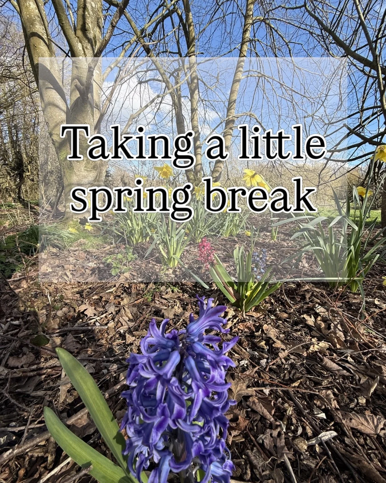 🌸 Dear Clients, please note I will be taking a little break over the Easter holidays from Friday 3rd April - Tuesday 14th April. 
There are just a few spaces left this week, if you would like any treatments before then. 

Tap on the link in the bio 