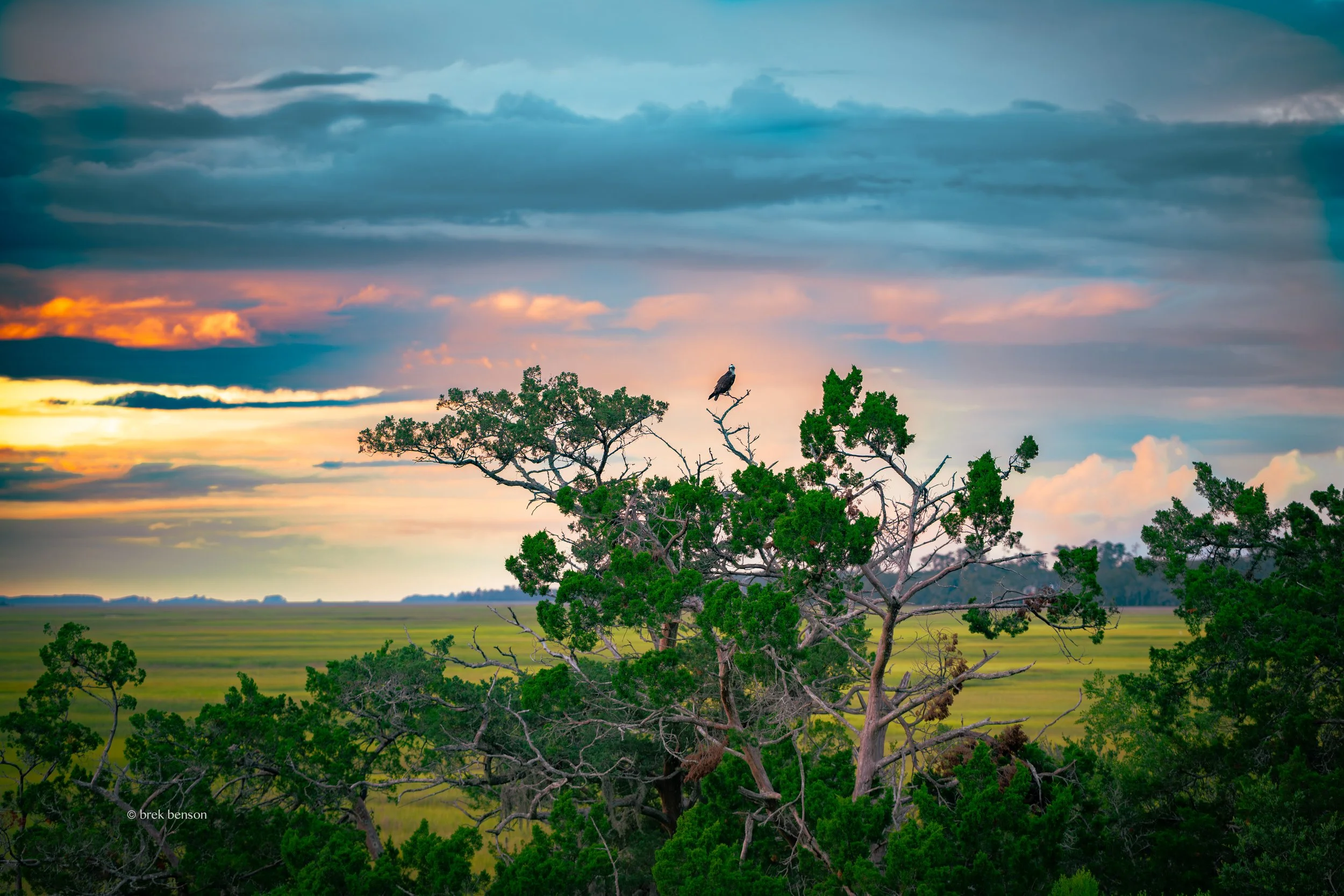 Osprey overlook, Saint Simons Island, Georgia