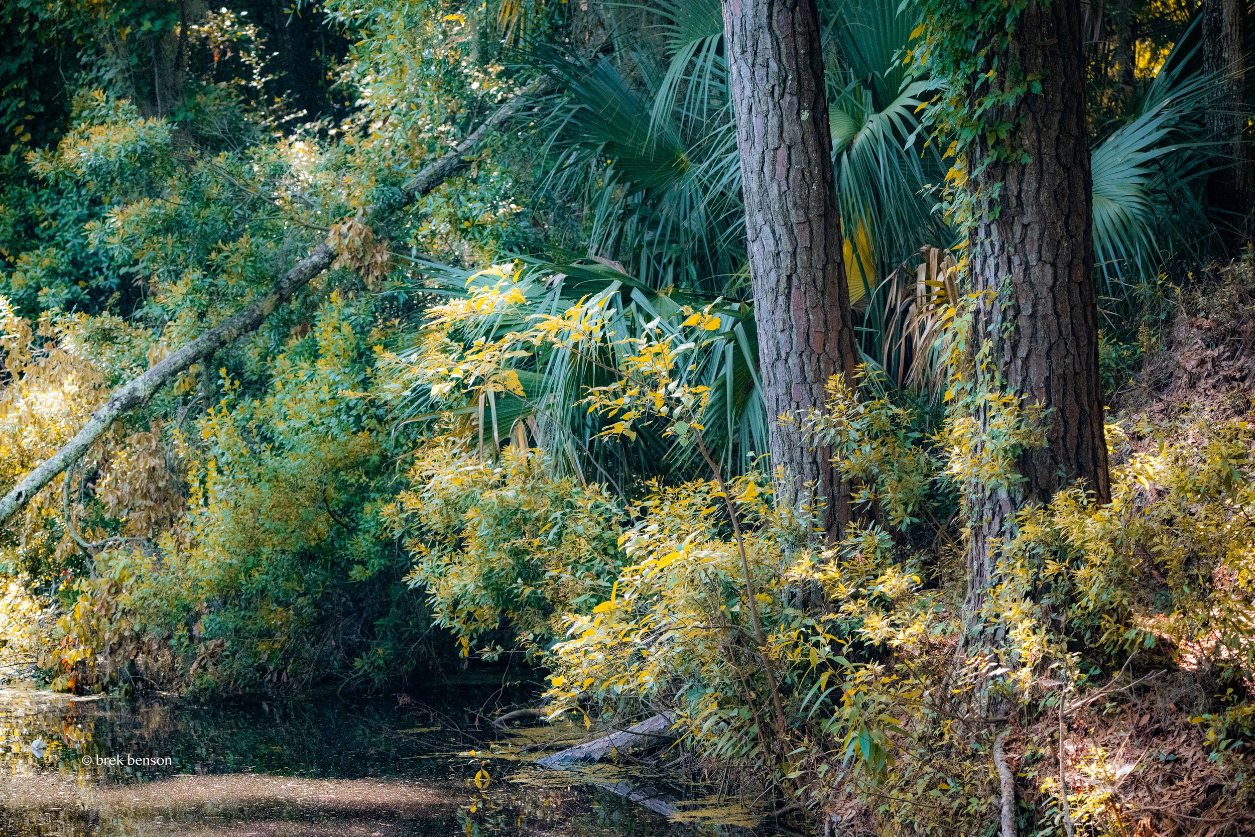 Saint Simons Island, Georgia