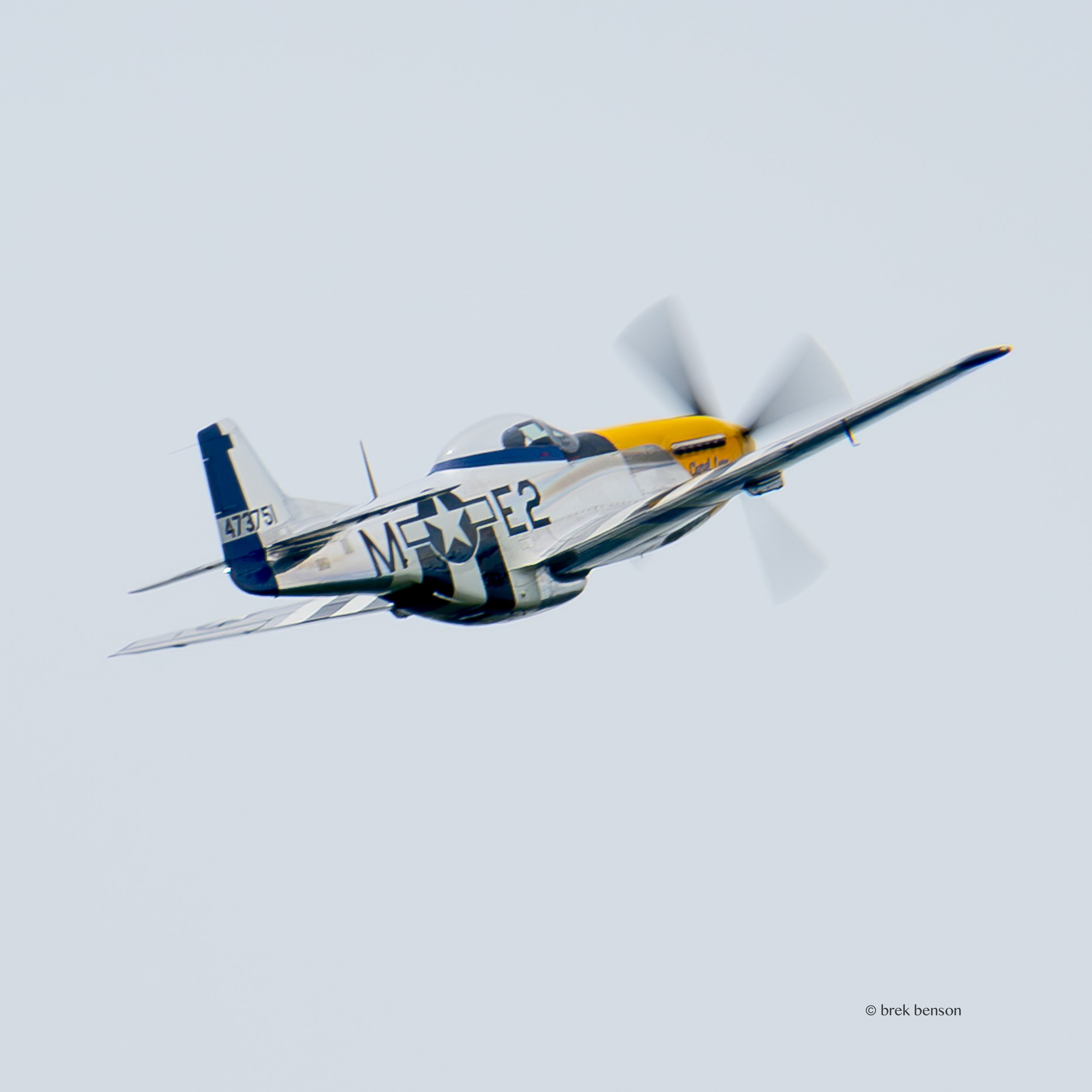 P51 Powerhouse, Brunswick Air Show, May 2025