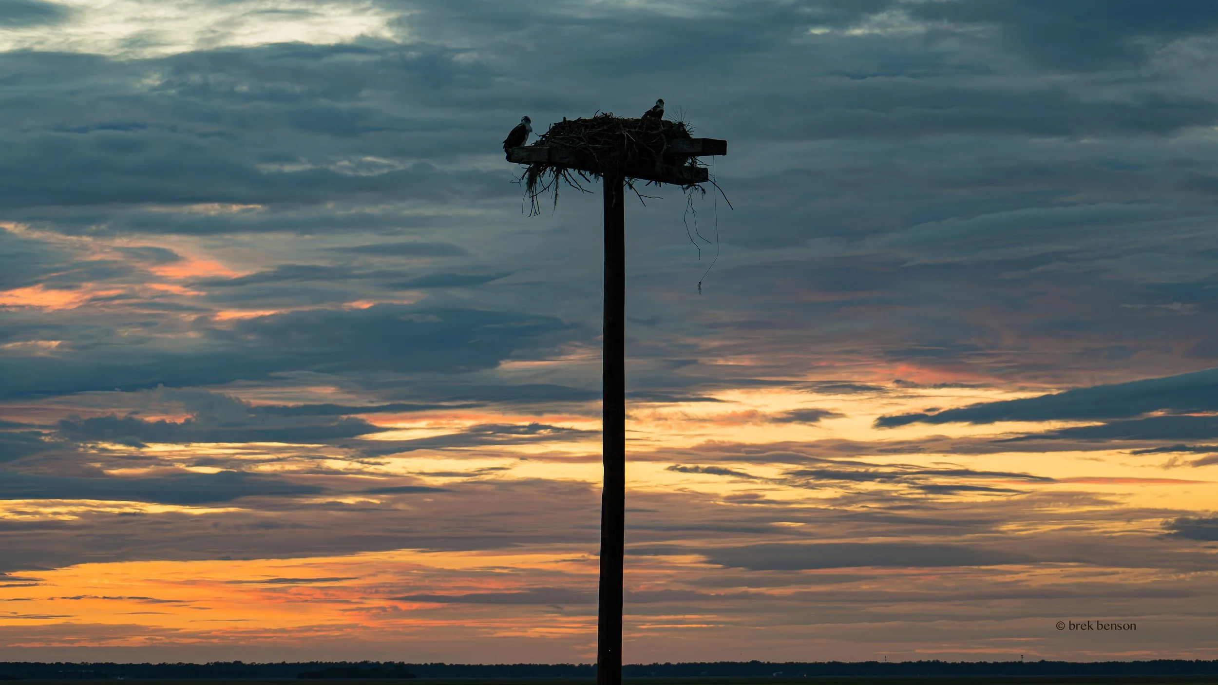 Osprey nest at sunset, Saint Simons Island, Georgia
