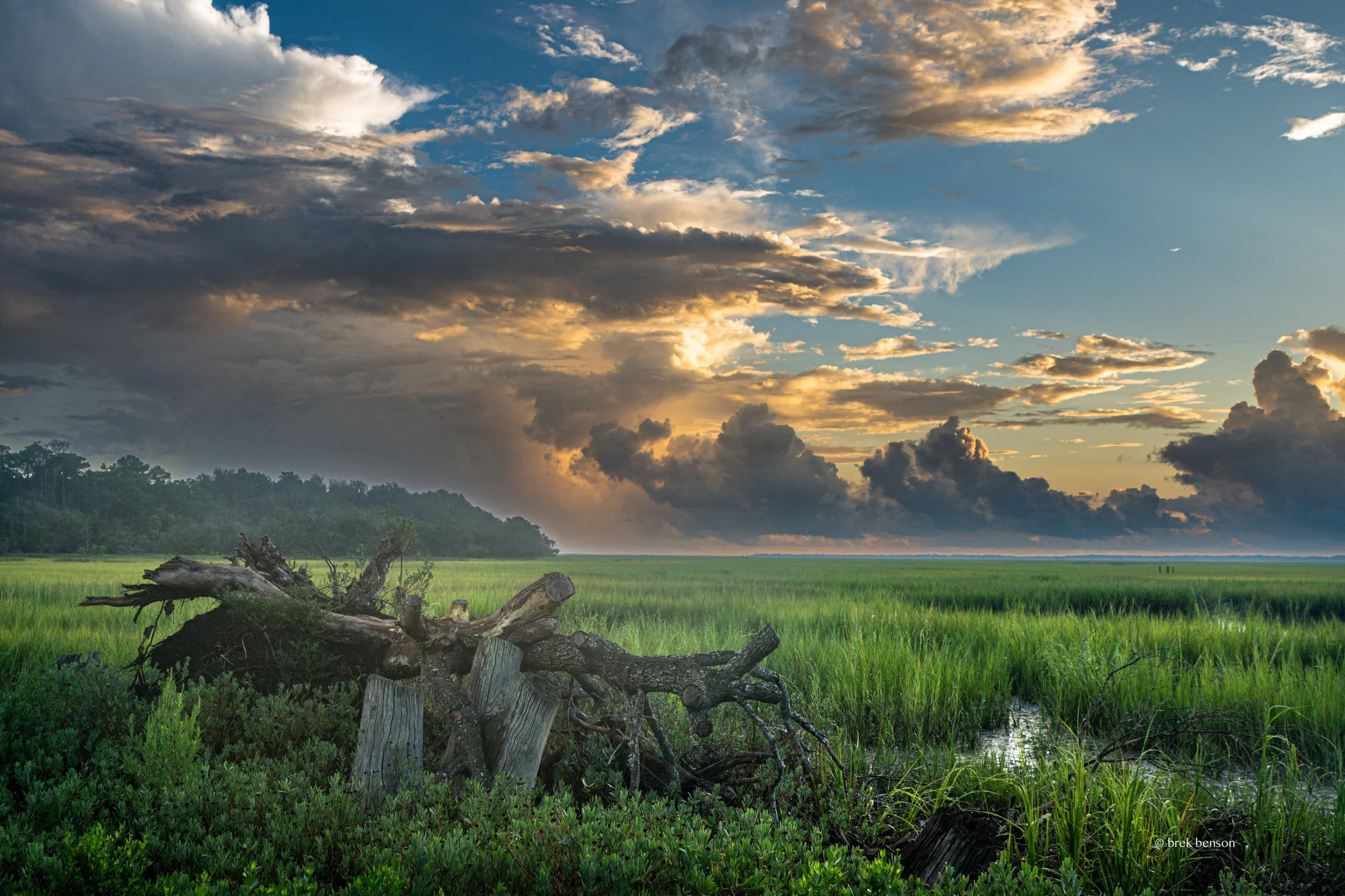 Summer rain, Saint Simons Island, Georgia