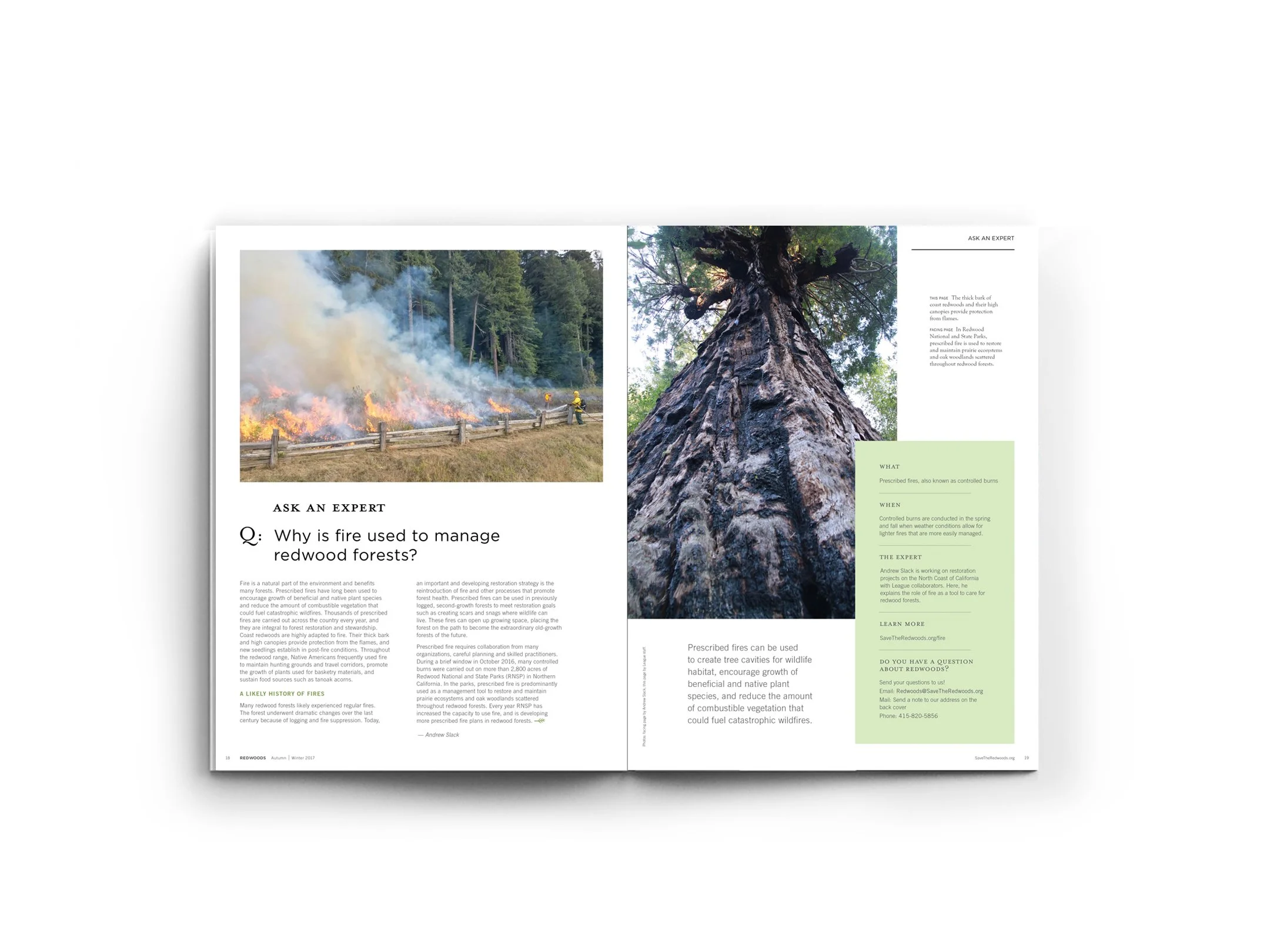 Redwoods Magazine_spread1.jpg