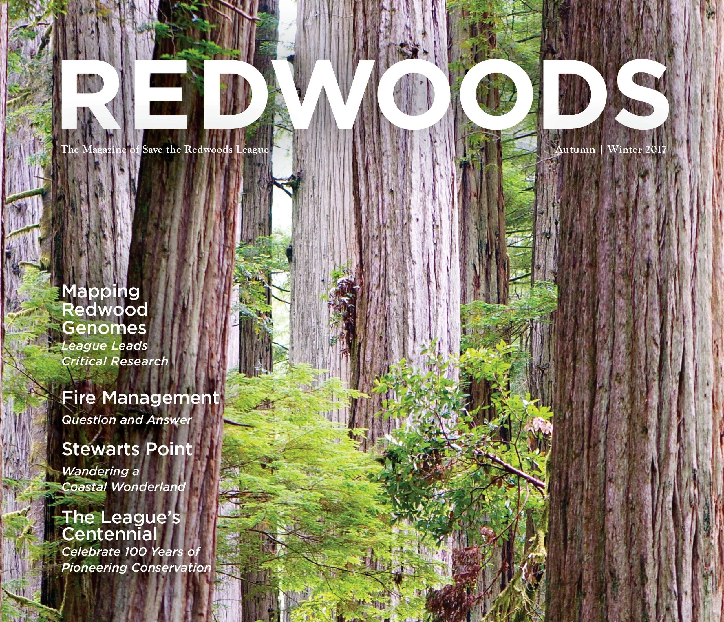 REDWOODS MAGAZINE