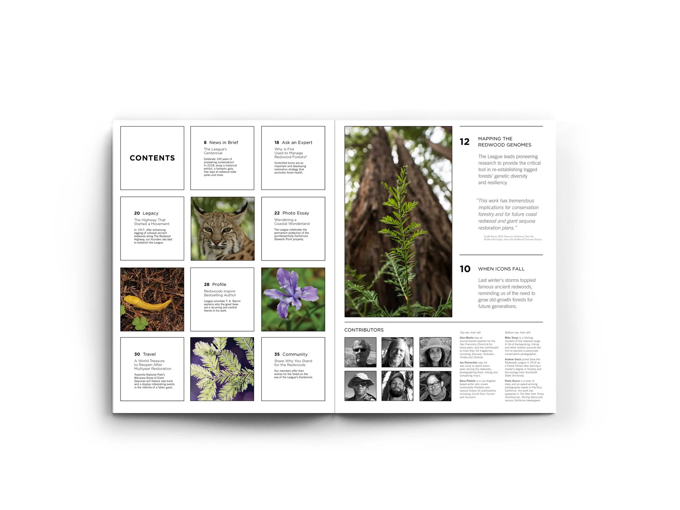 Redwoods Magazine_spread3.jpg