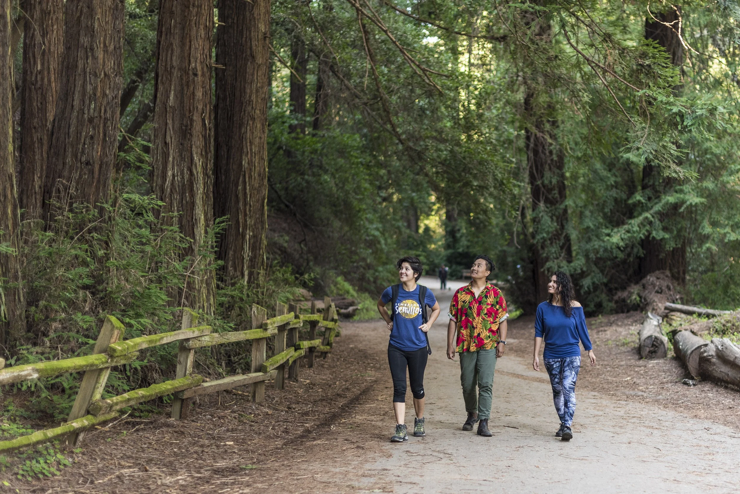 CLIENT CASE STUDY: CA STATE PARKS 