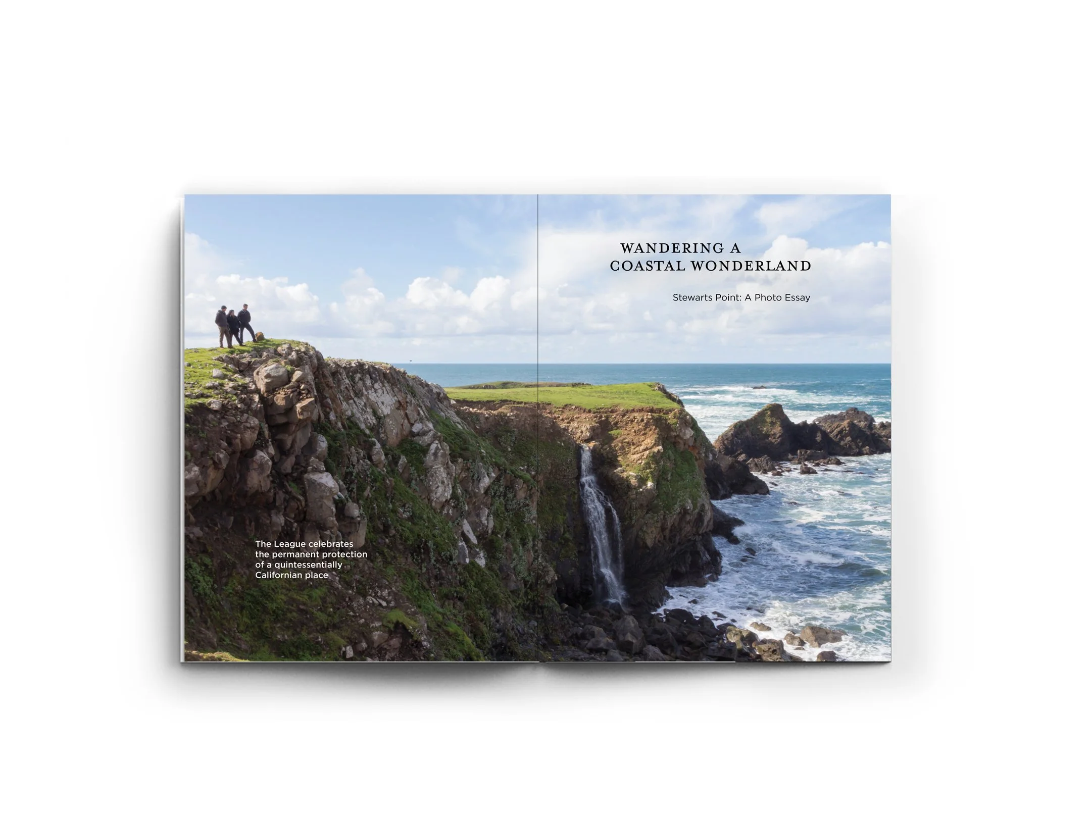 Redwoods Magazine_spread4.jpg