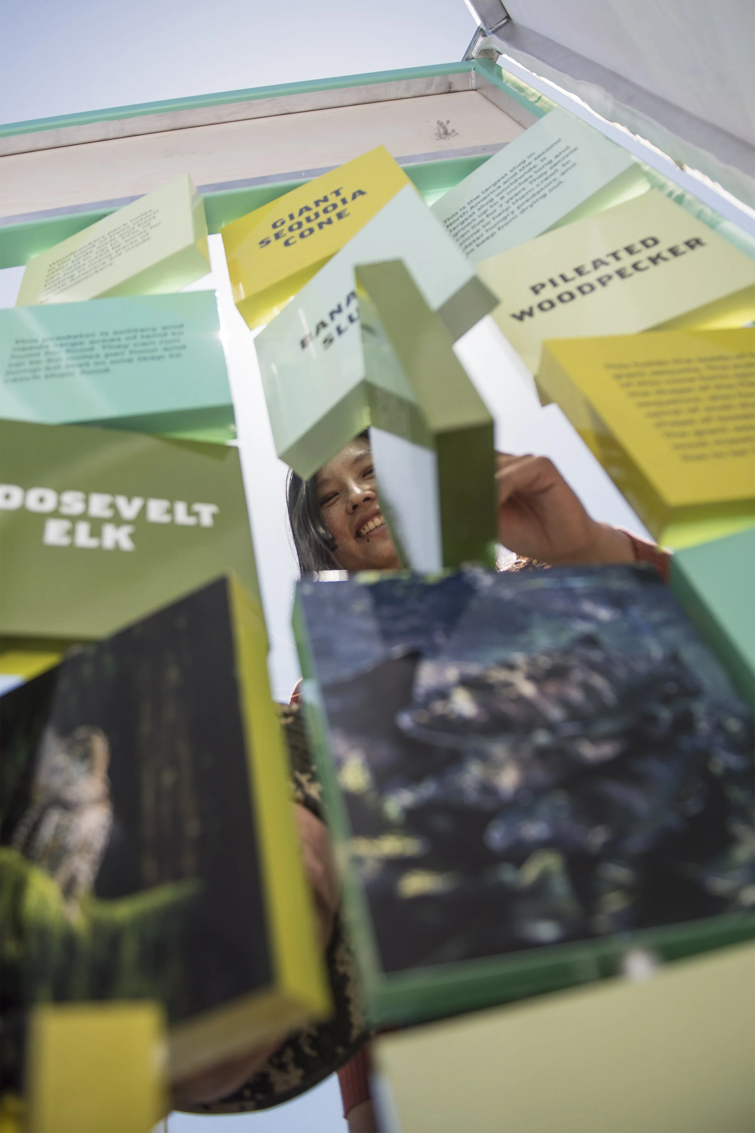 CLIENT WORK: SAVE THE REDWOODS LEAGUE