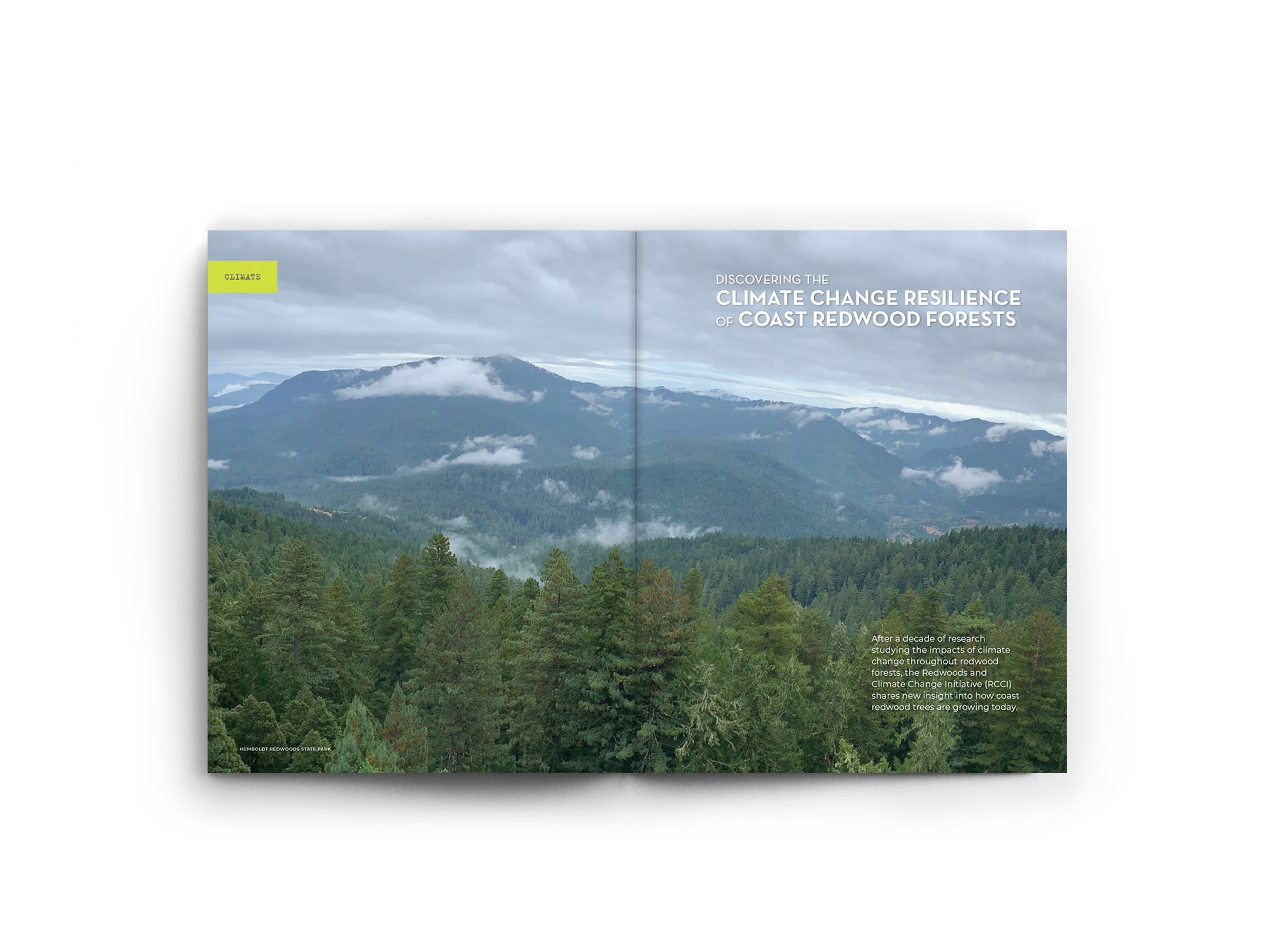 Redwoods Magazine_spread8.jpg