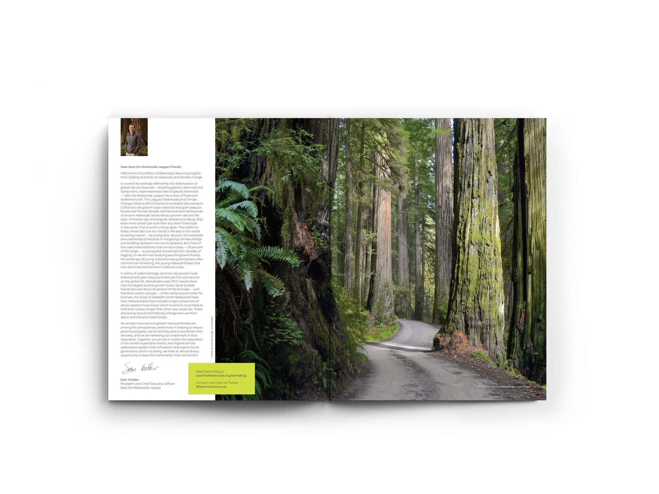 Redwoods Magazine_spread7.jpg