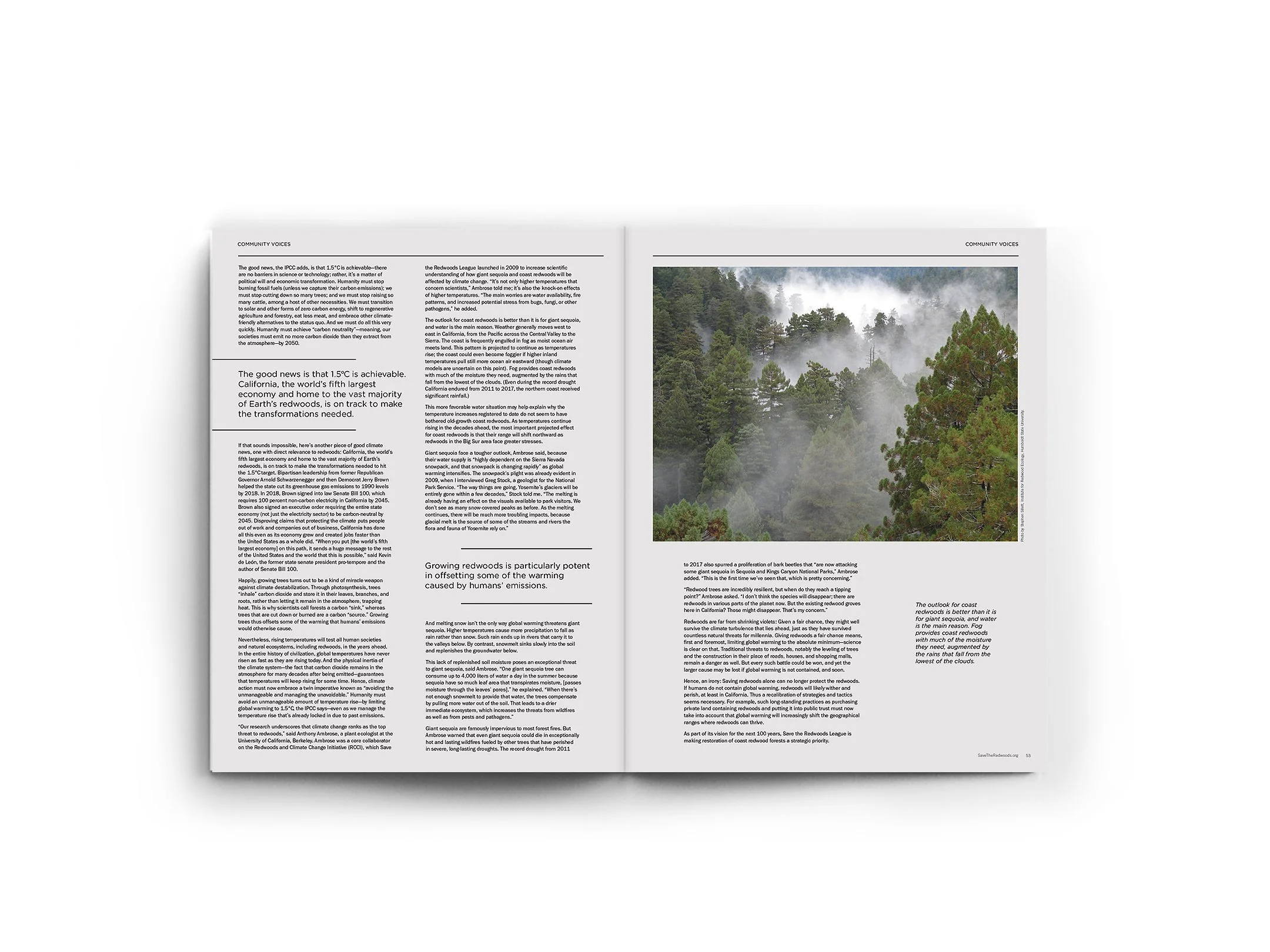 Redwoods Magazine_spread5.jpg