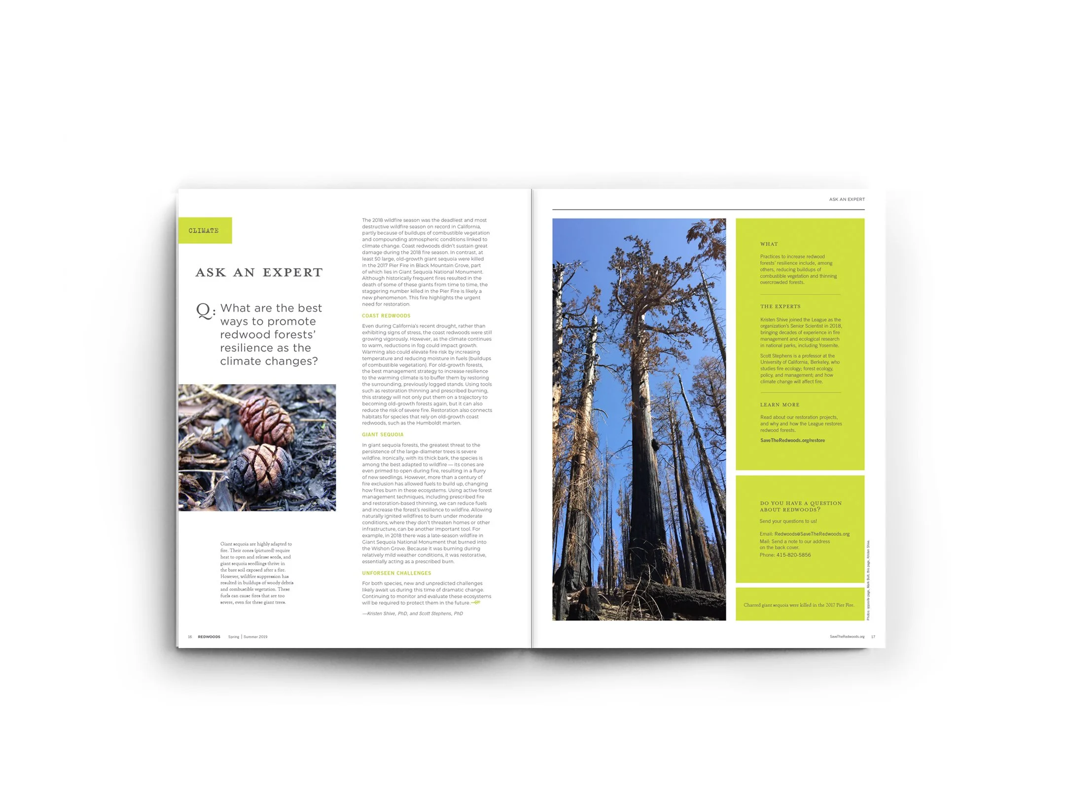 Redwoods Magazine_spread6.jpg