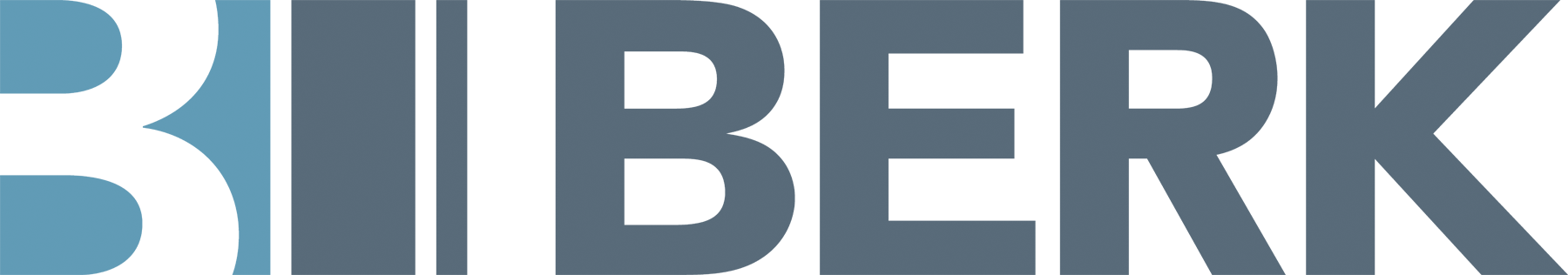 BERK Consulting