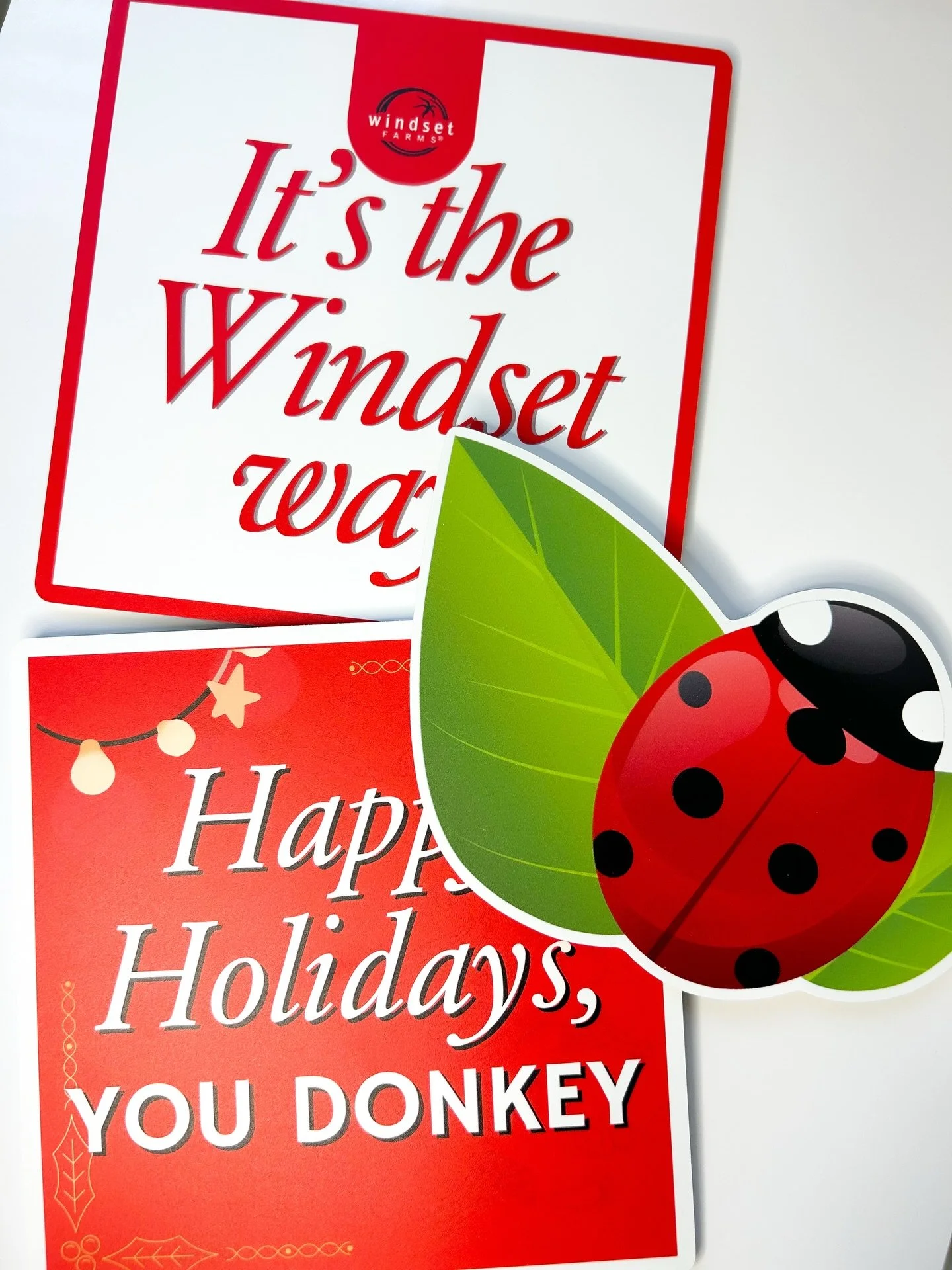 Custom 6mm PVC props made for one of our amazing local clients! Strong, bright, and ready to bring the holiday party fun! 🎉

🛒 Shop now:
🌐 www.VancityProps.com
🛍️ Etsy: propsvancity.etsy.com

#PhotoboothProps #props #LuxuryEvents #VancityProps #W