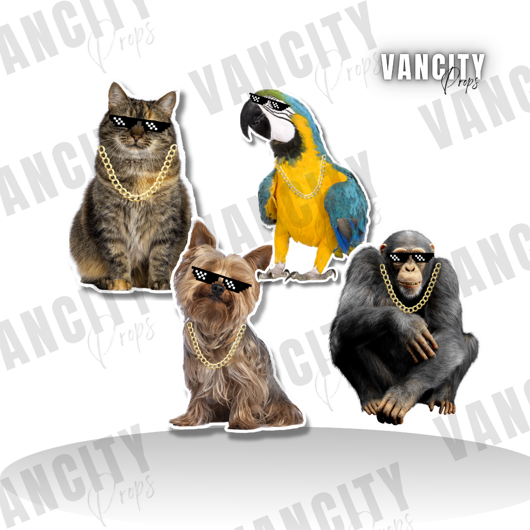 Cool Animal Set: Cat, Dog, Parrot, Monkey