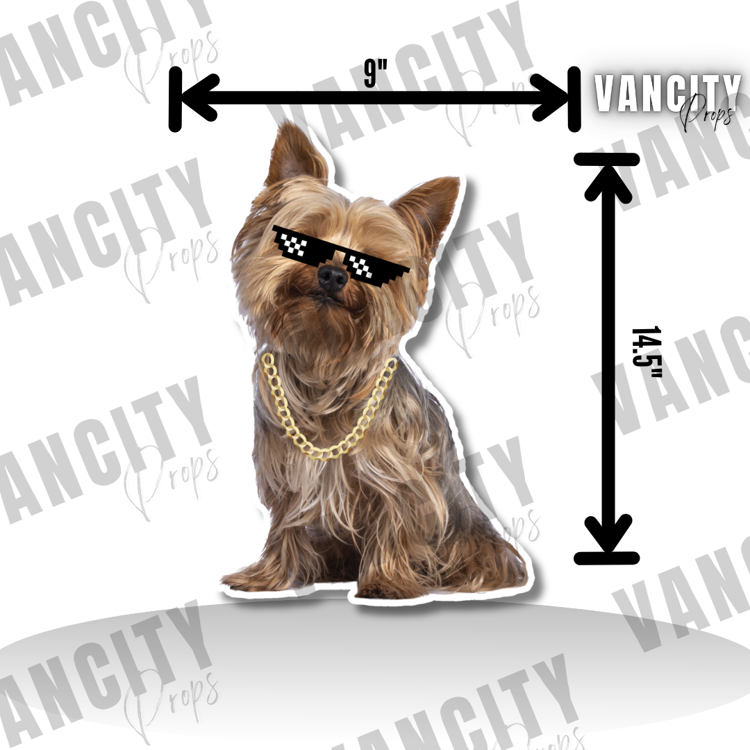 dog.png