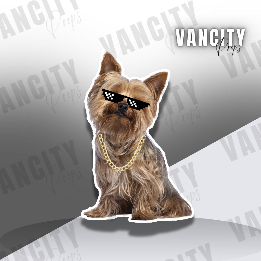Cool Dog