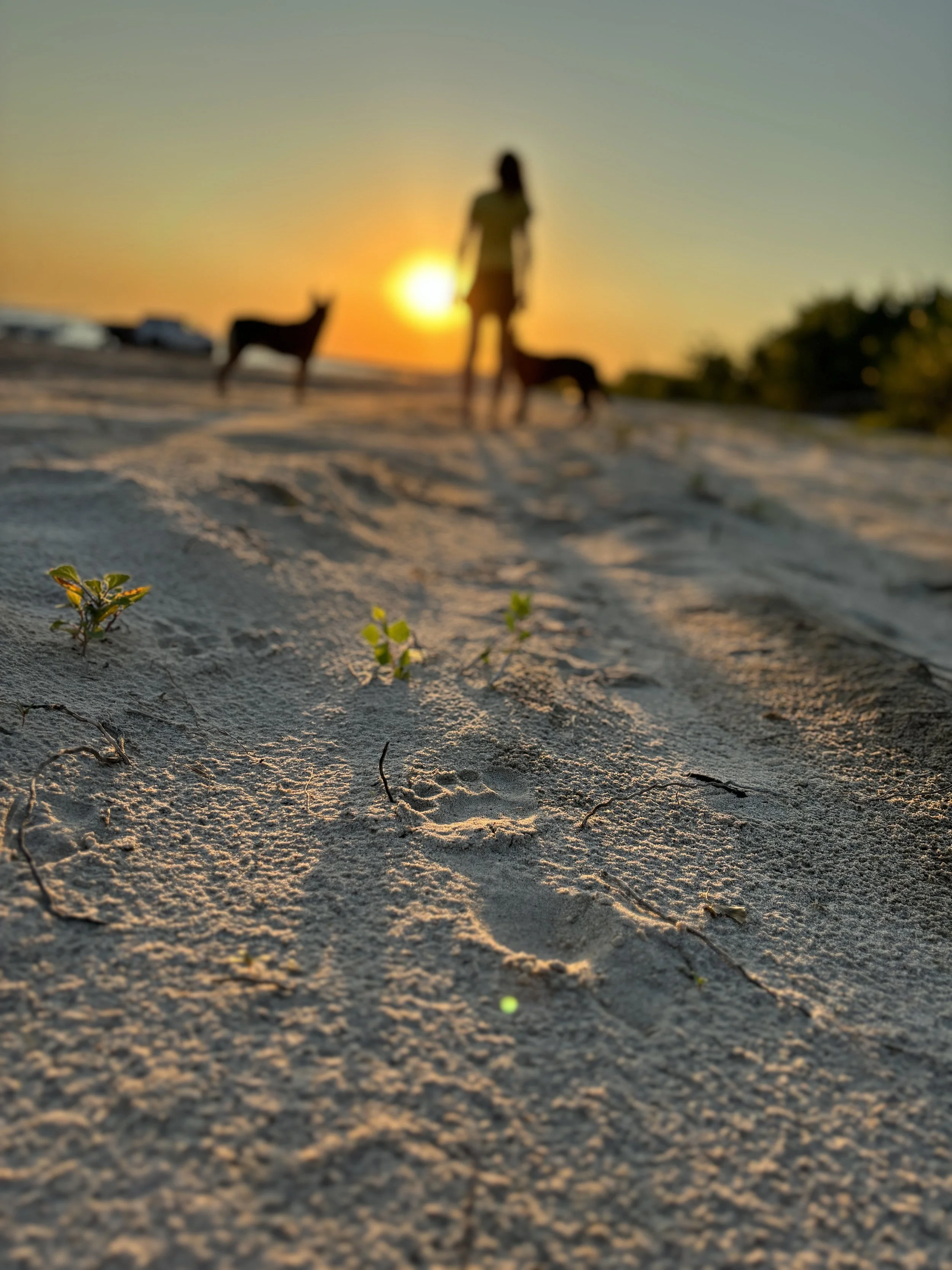 Beyond Mental Toughness: What Real Mental Performance Looks Like