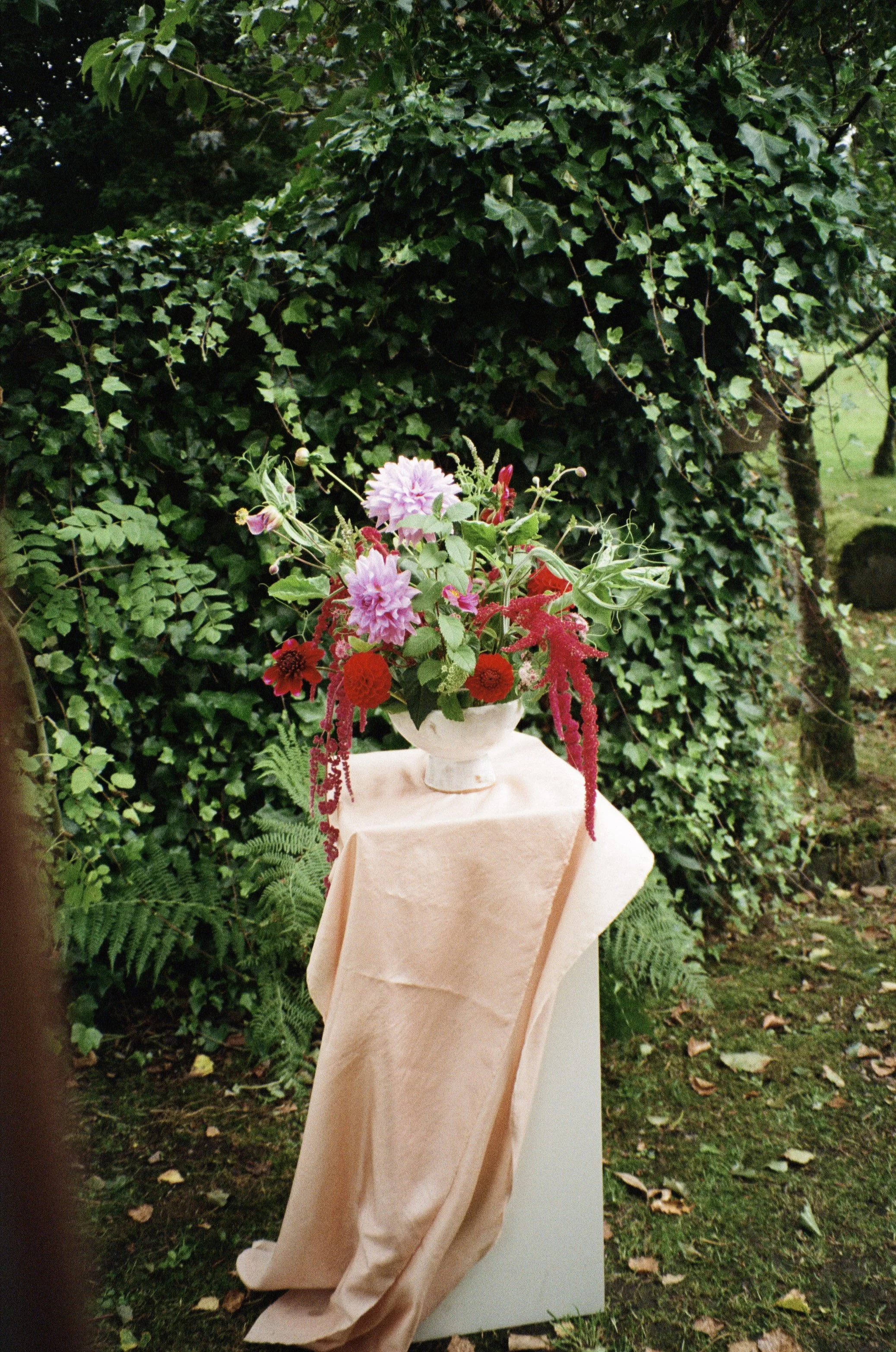 Soonhope Studio | Branding