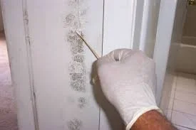 mold-sample-method.jpg