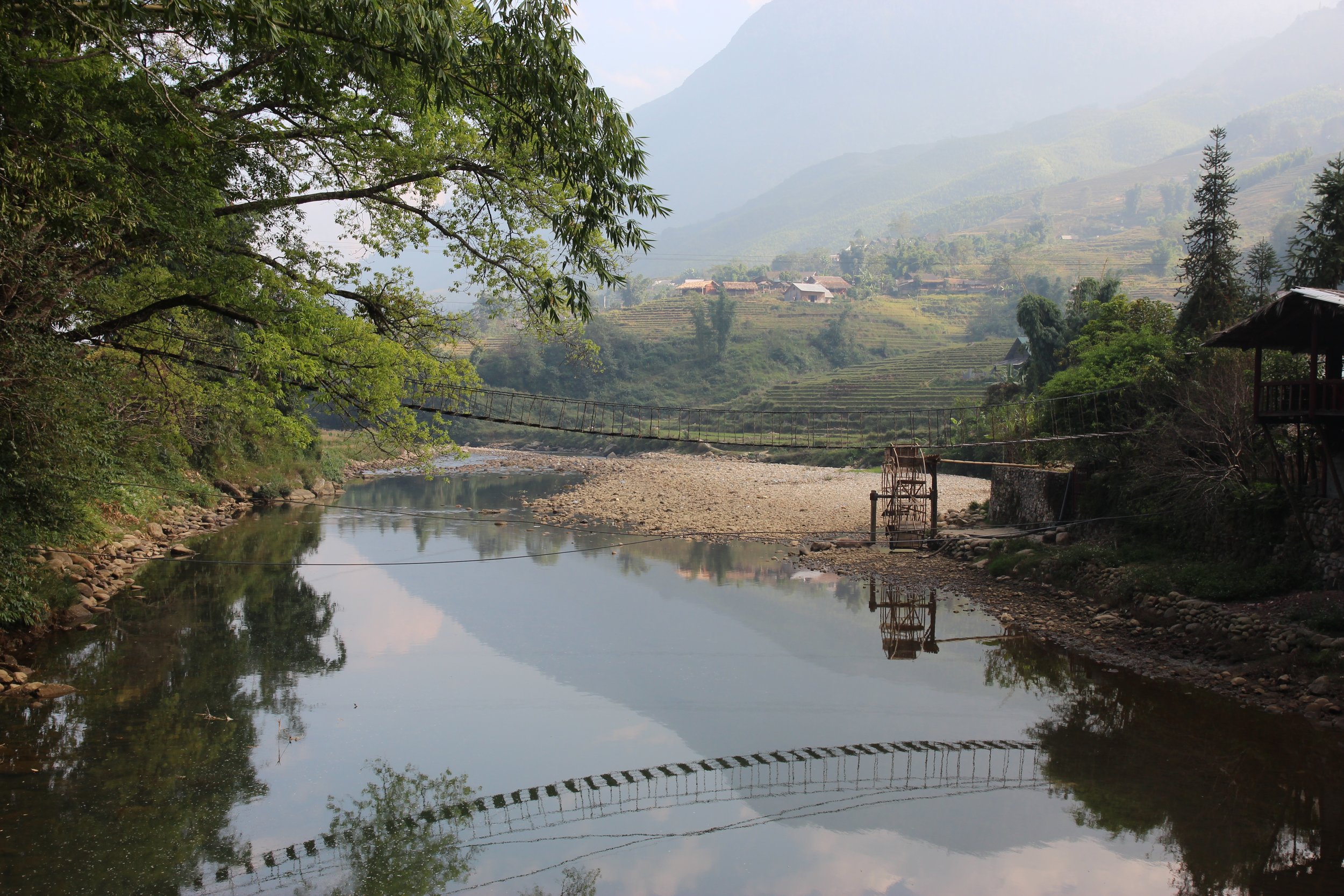 Good moooorning Vietnam!