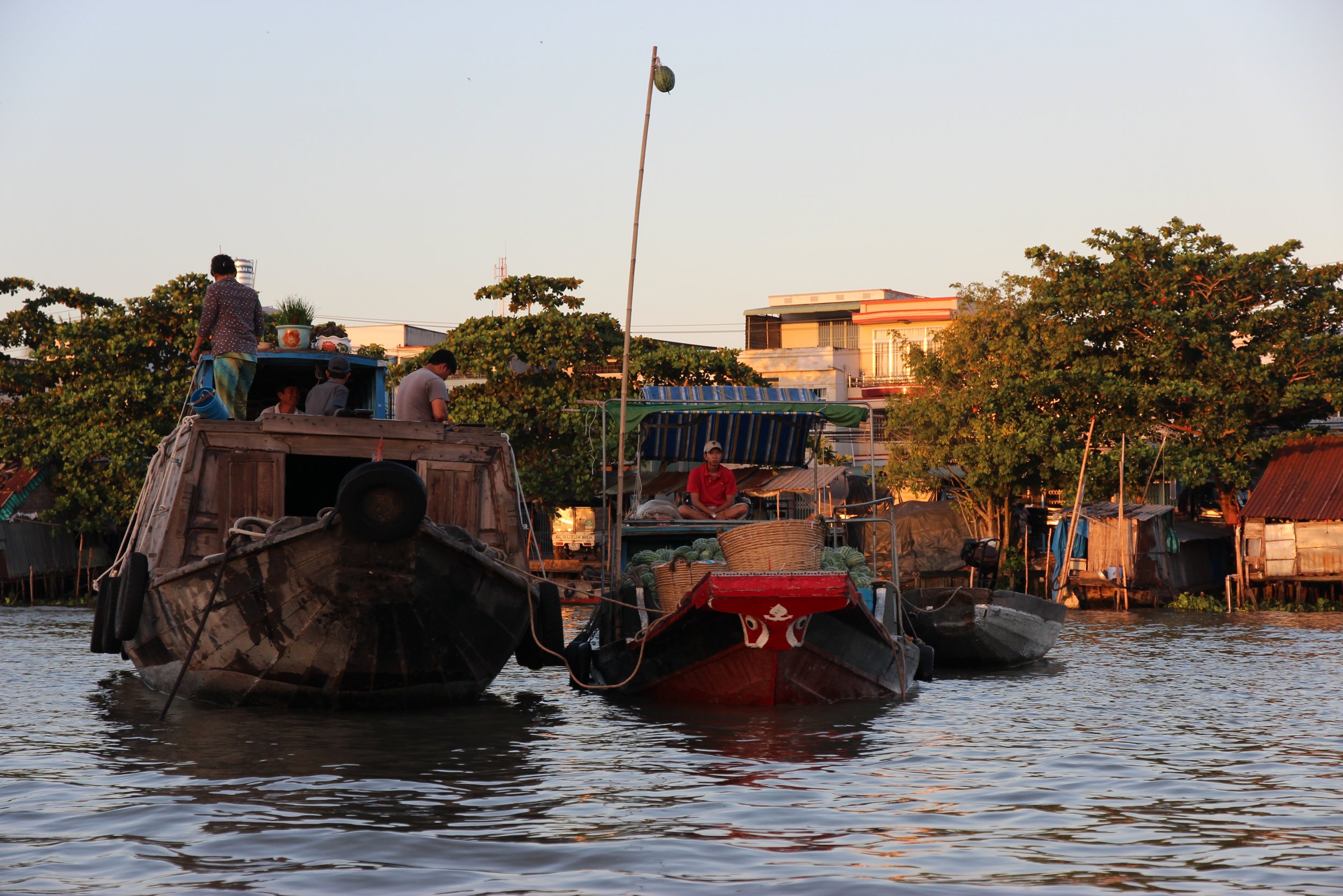 Mekong Delta