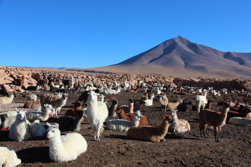 Salar de Uyuni