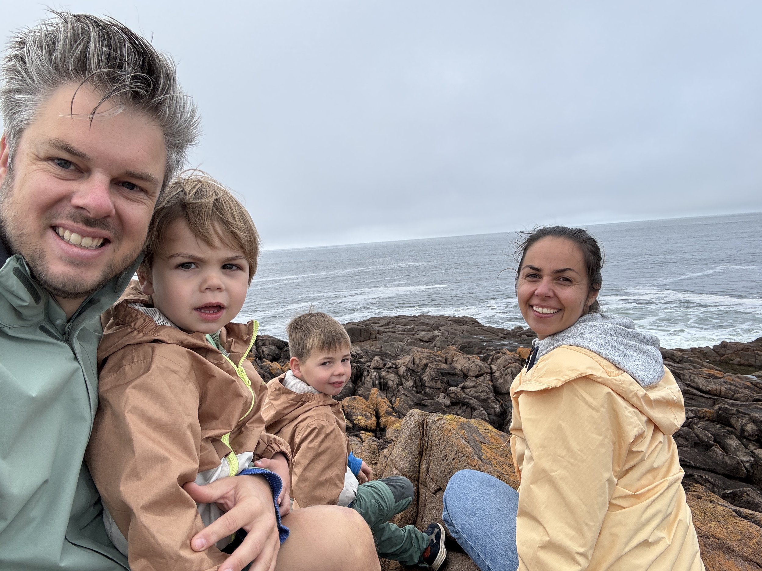 Koala’s & Whales