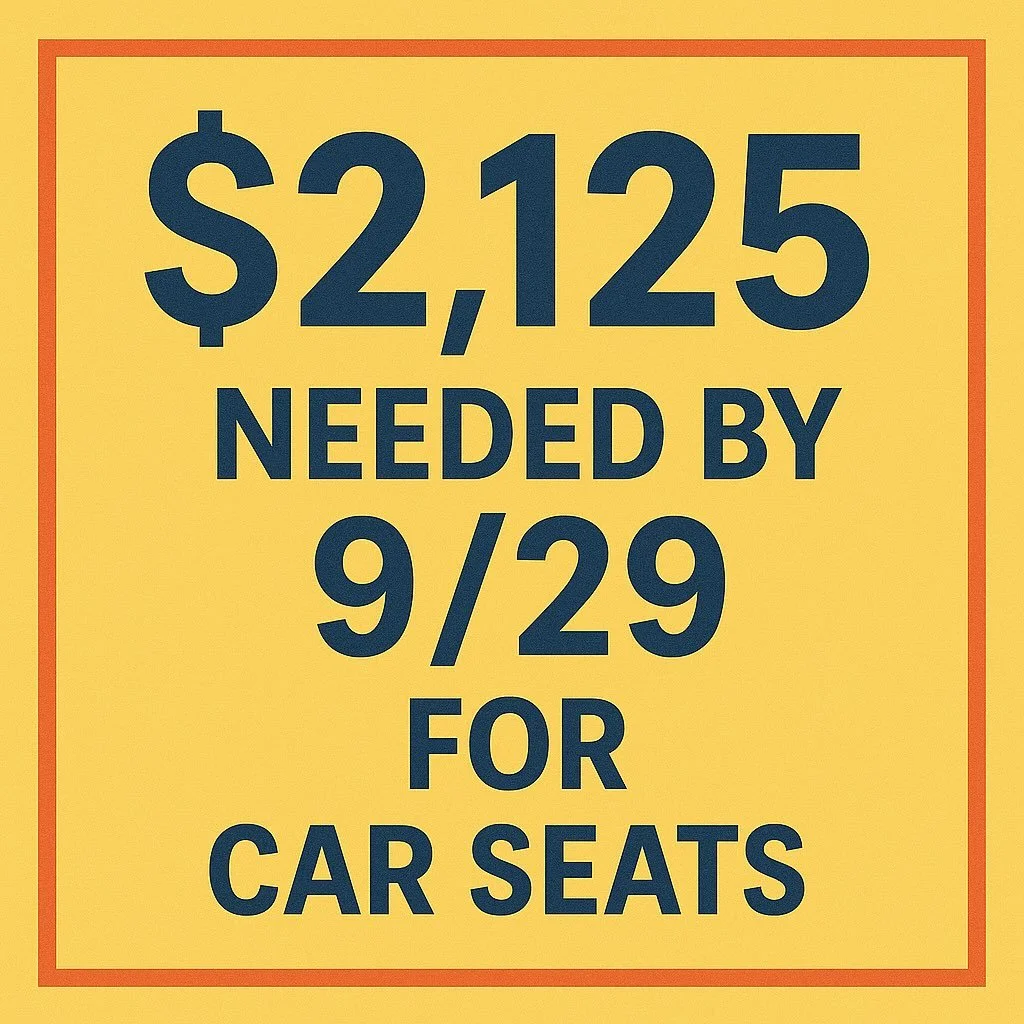 🚨 We Need Your Help &ndash; and FAST! 🚨

Right now, we have 13 used car seats donated and 3 brand new ones. If we can raise the funds, we can trade in those 13 used car seats for 13 NEW convertible car seats (thanks to a 20% off special that ends 9