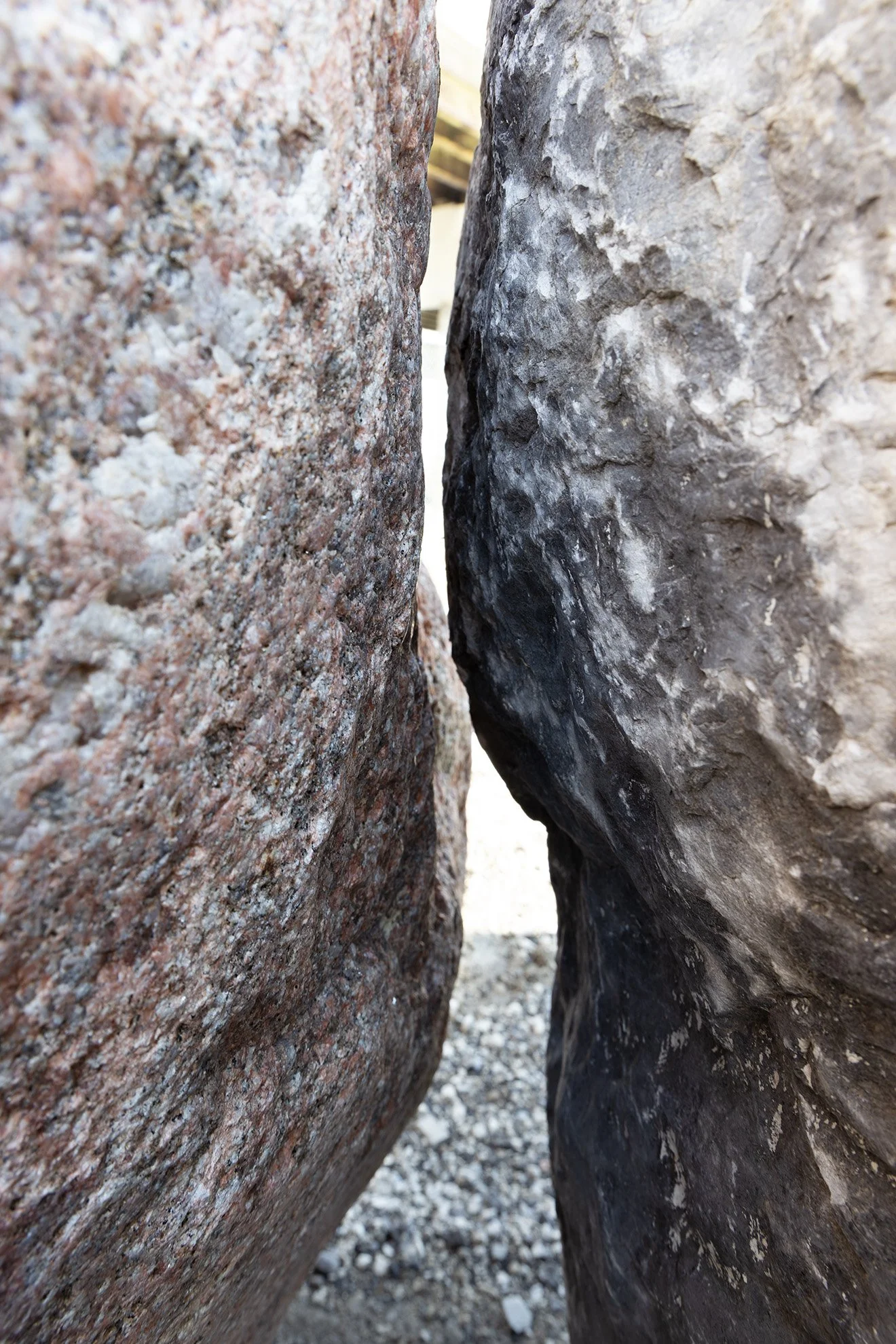 MM_0008_lower-res.jpg