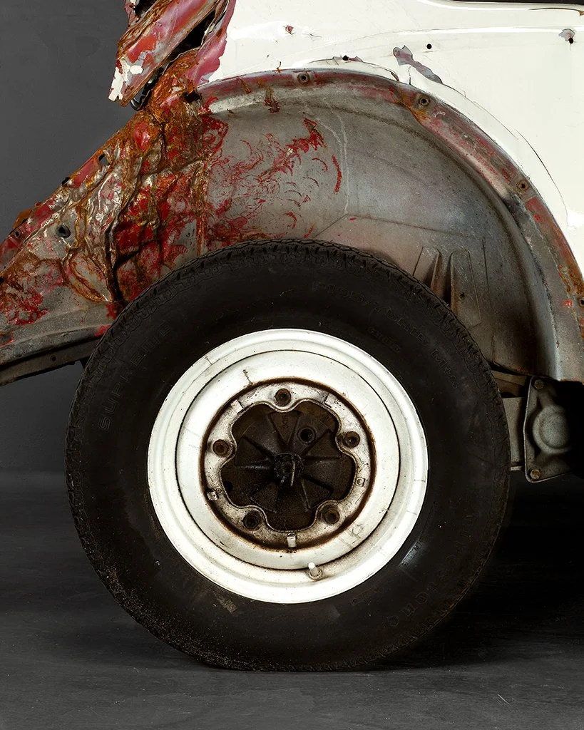 #53 - Squashed Bug - [15"x12"]