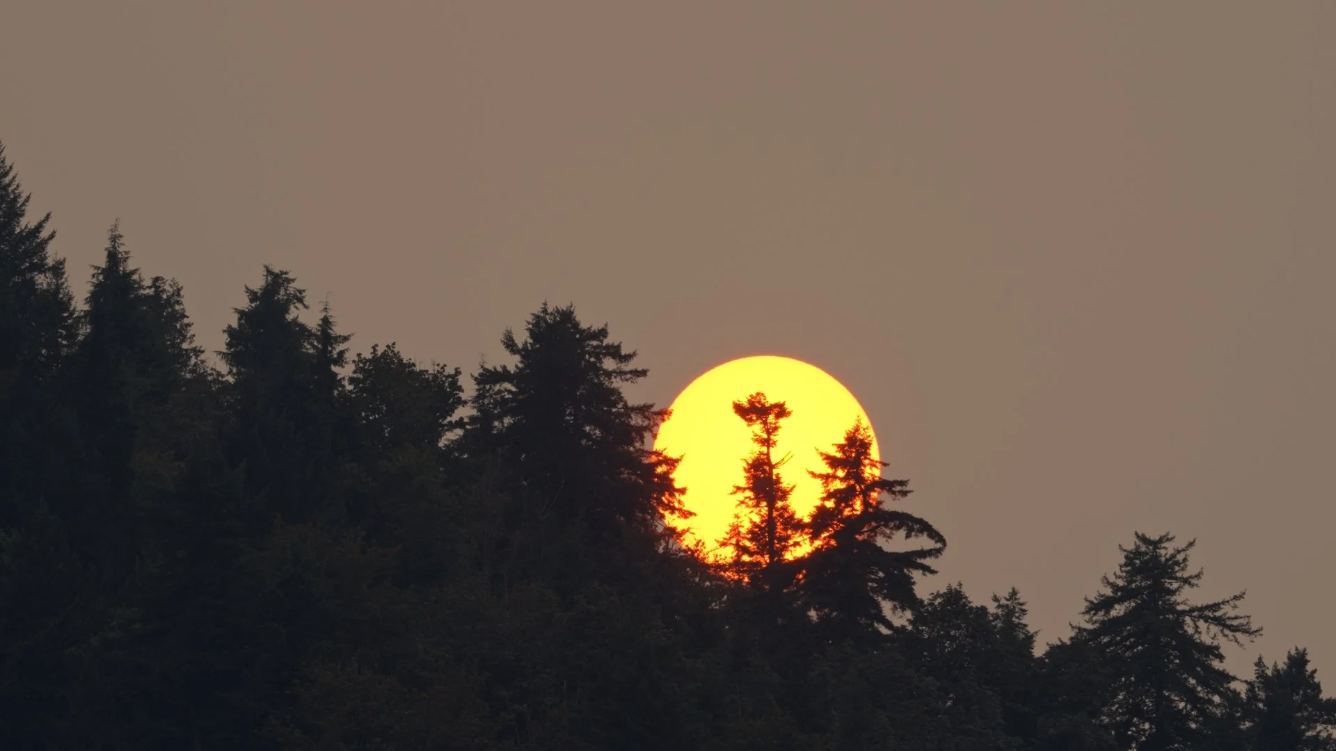 Sunset over Sumas Mountain