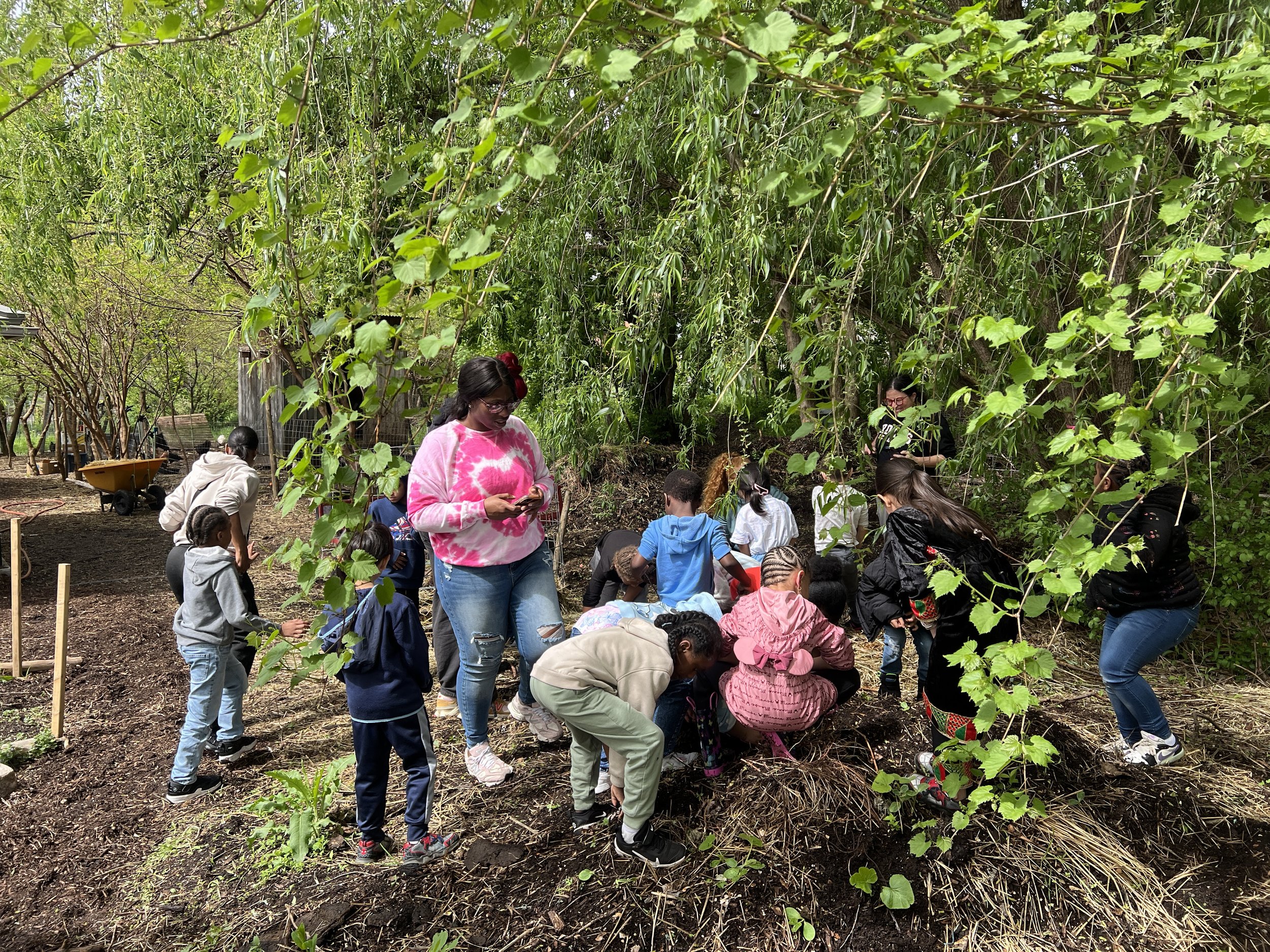 A group of children and adults in one of our compost piles under green trees in a natural setting.
