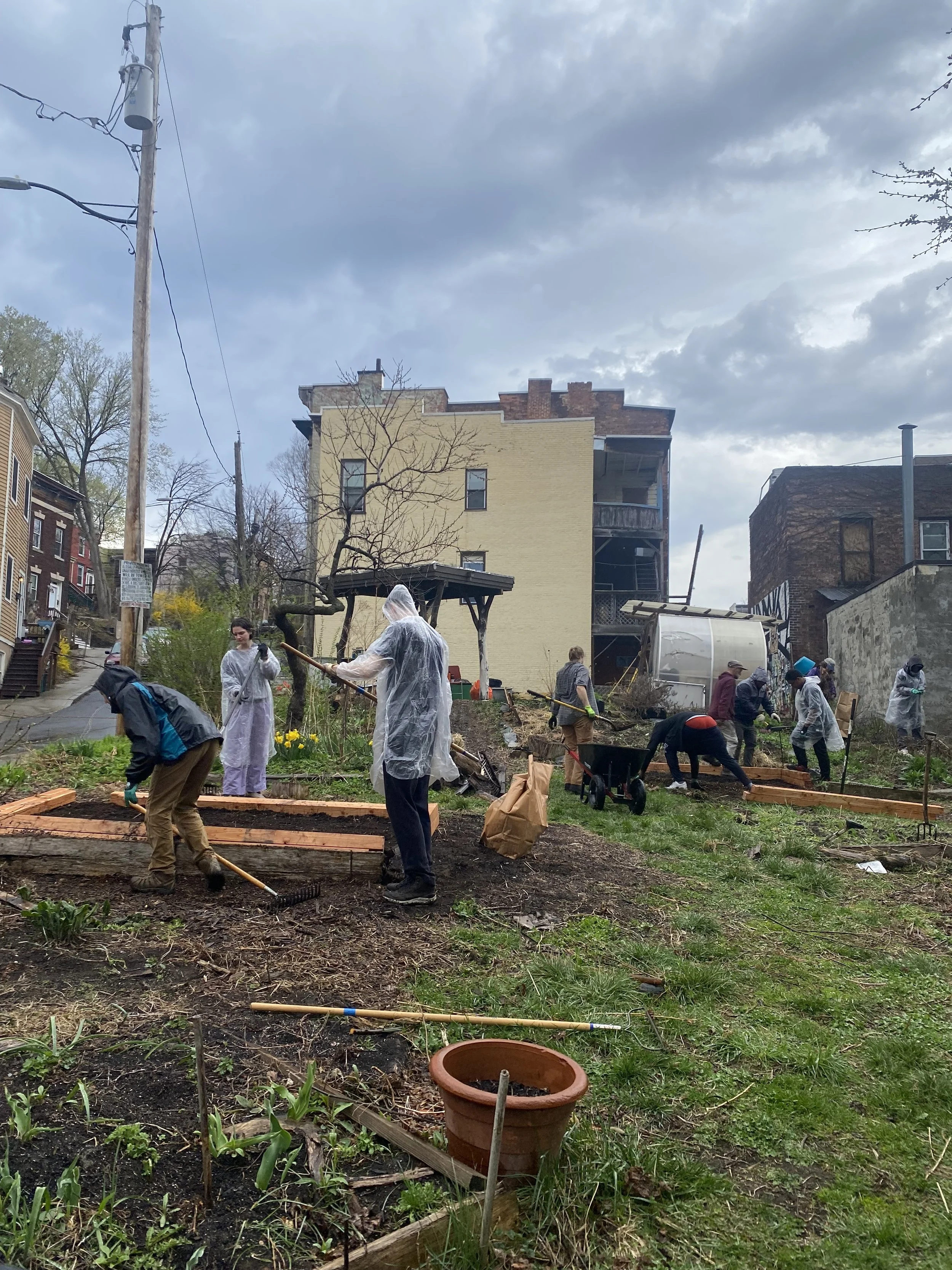 Gabi_s Garden SEED 4.19.25 6.jpeg