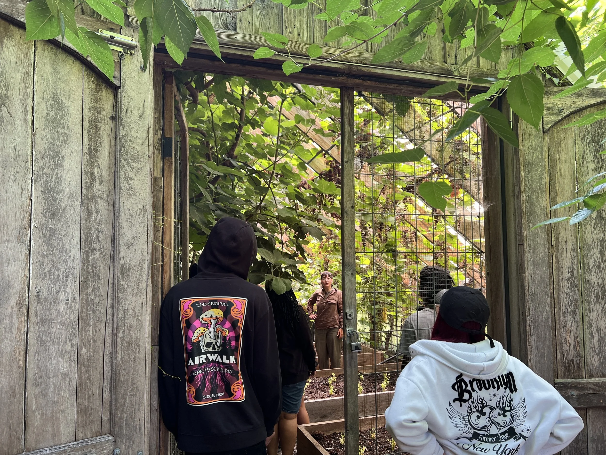 Cider Pressing &amp; Open House