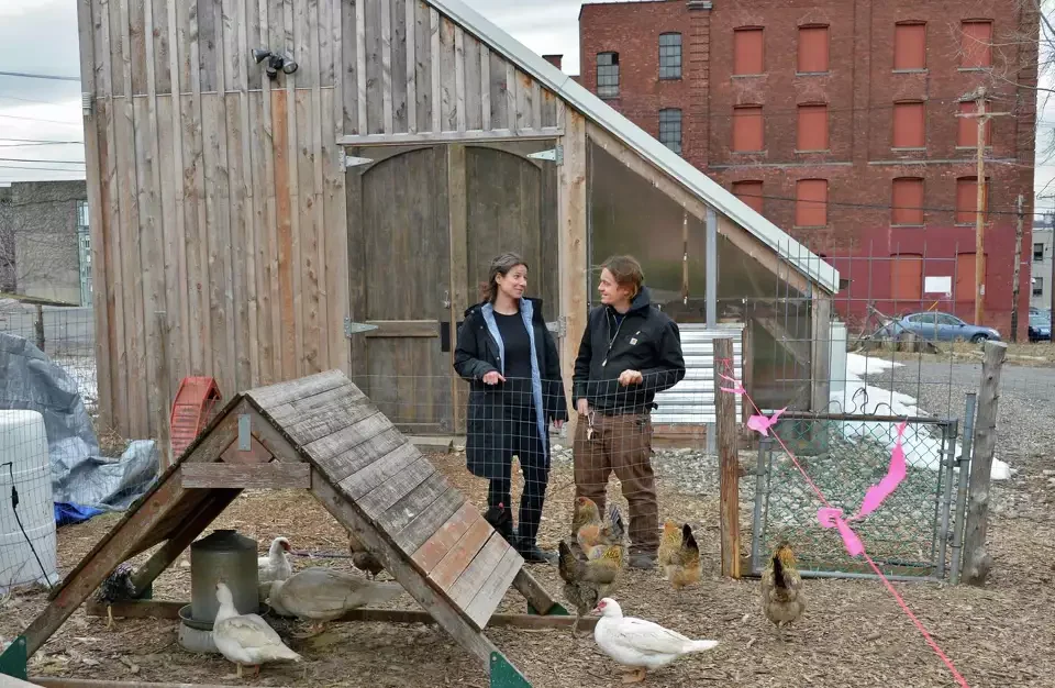 Two people talking in a backyard with a chicken coop, ducks, and chickens, on a cloudy day.