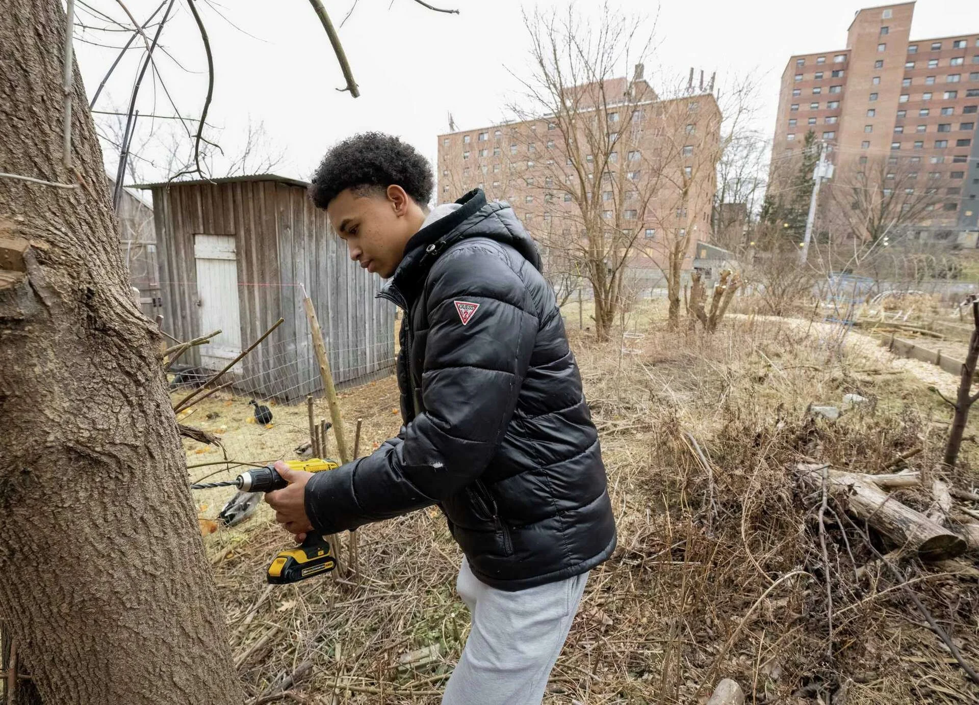 A young man wearing a black puffer jacket and gray sweatpants working outdoors with a cordless drill near a large tree, surrounded by dry branches and a wire fence, in an urban setting with apartment buildings in the background.