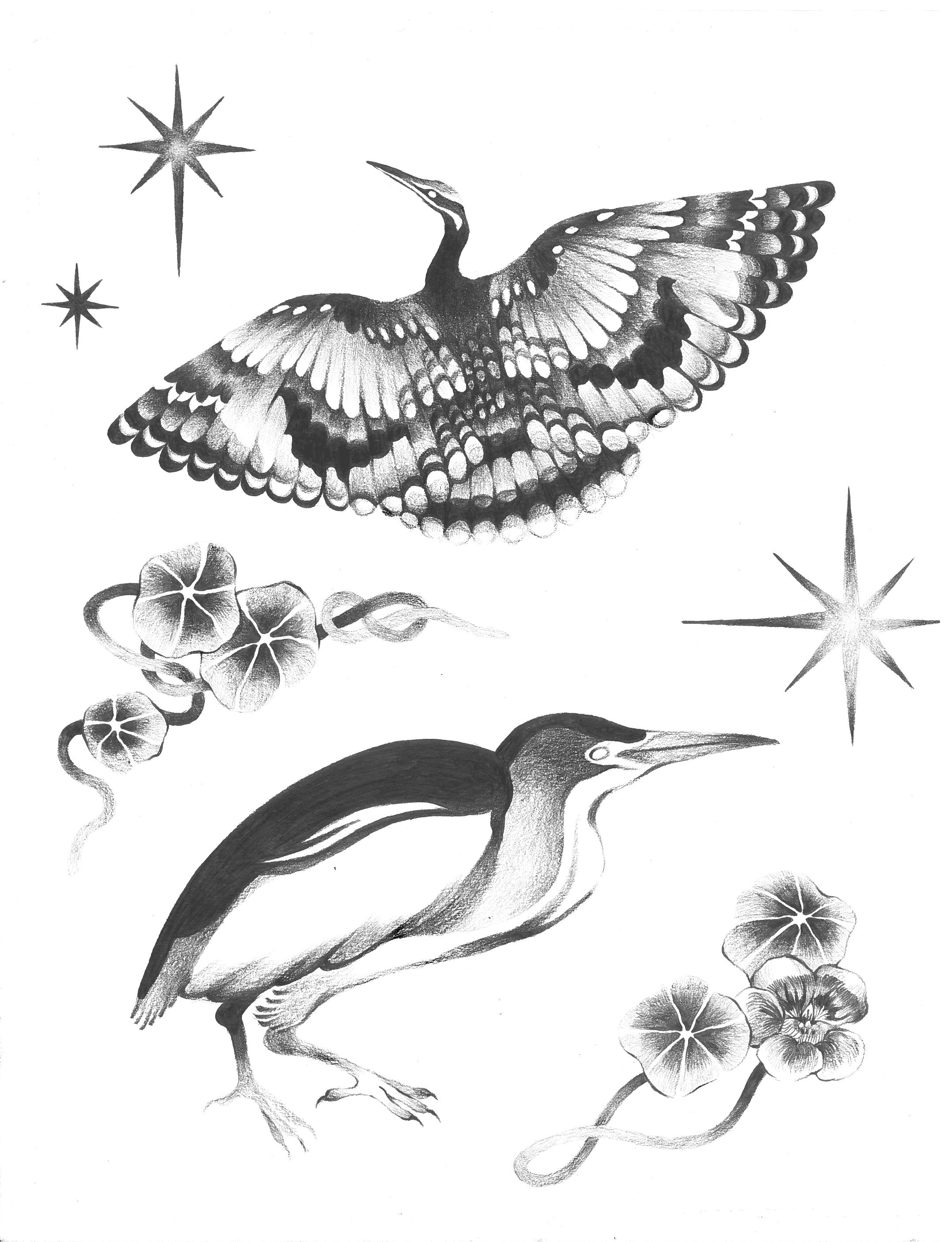 August_Moss_Bittern_Dreams.png