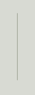 A vertical, thin, grayish line on a plain, light-colored background.