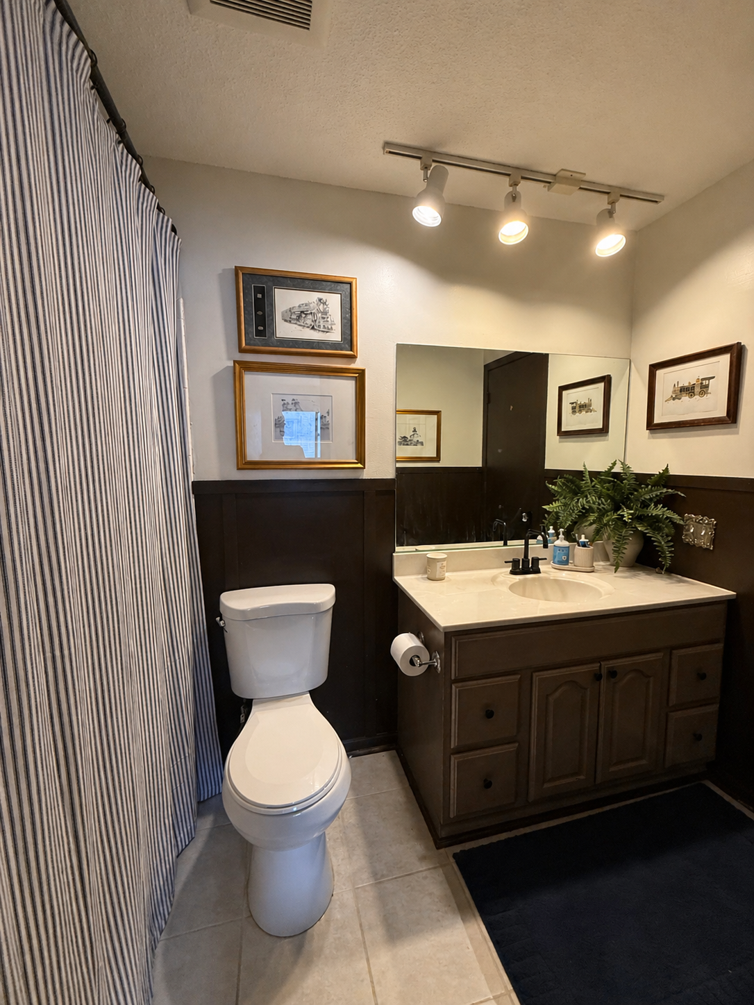 Bathroom with a toilet, a dark wooden vanity with a white countertop, sink, and a large mirror. Decor includes framed artwork, a potted fern, and a striped shower curtain. Overhead lighting illuminates the space.