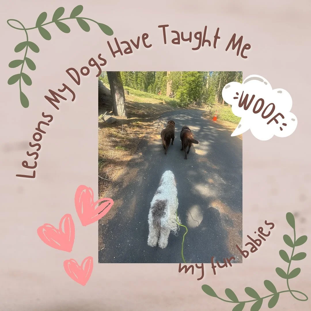 &ldquo;Turns out my best teachers have four paws and wagging tails&rdquo;. Rey, Jam, and Bodhi remind me daily: love is simple, presence is powerful, and snacks are essential!