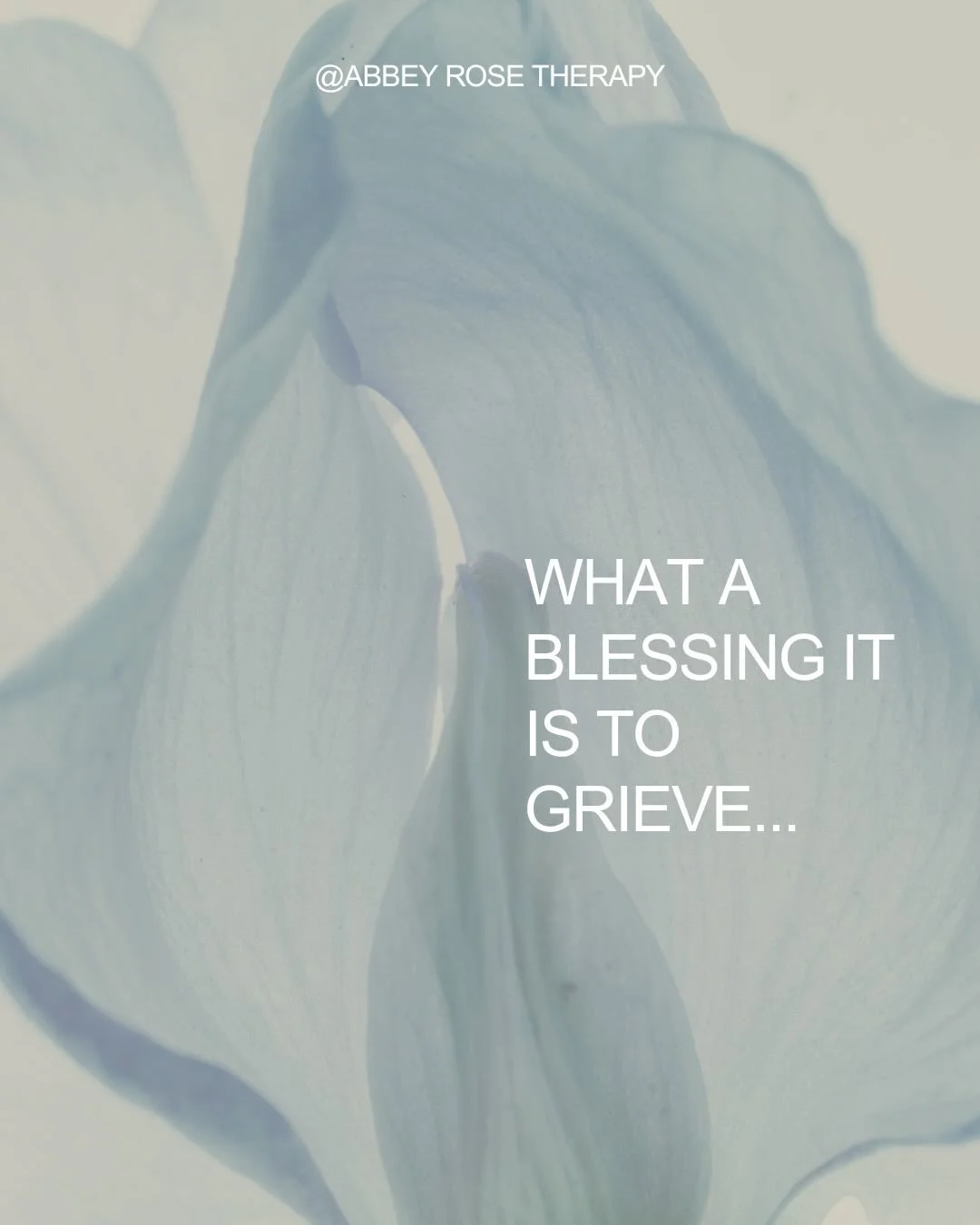 I&rsquo;ve recently been reflecting on what a blessing it is to grieve who and what we loose. It sounds odd, but if what we lose didn&rsquo;t hold value then we wouldn&rsquo;t grieve. We grieve because they or it was important to us, and what a bless