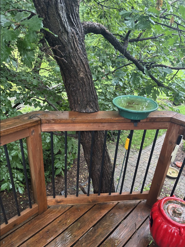 Before wooden deck railing repair in Eagan Minnesota