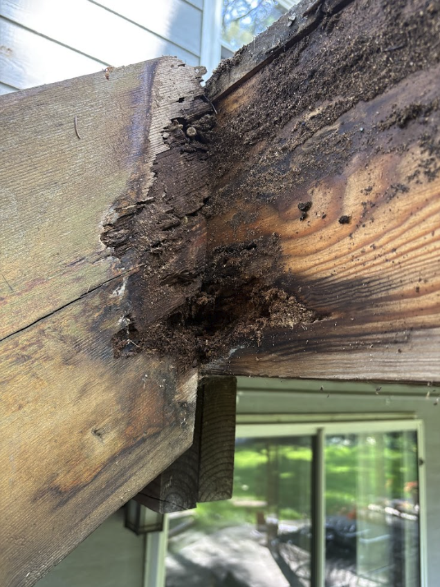 Rotting deck boards in Eagan MN