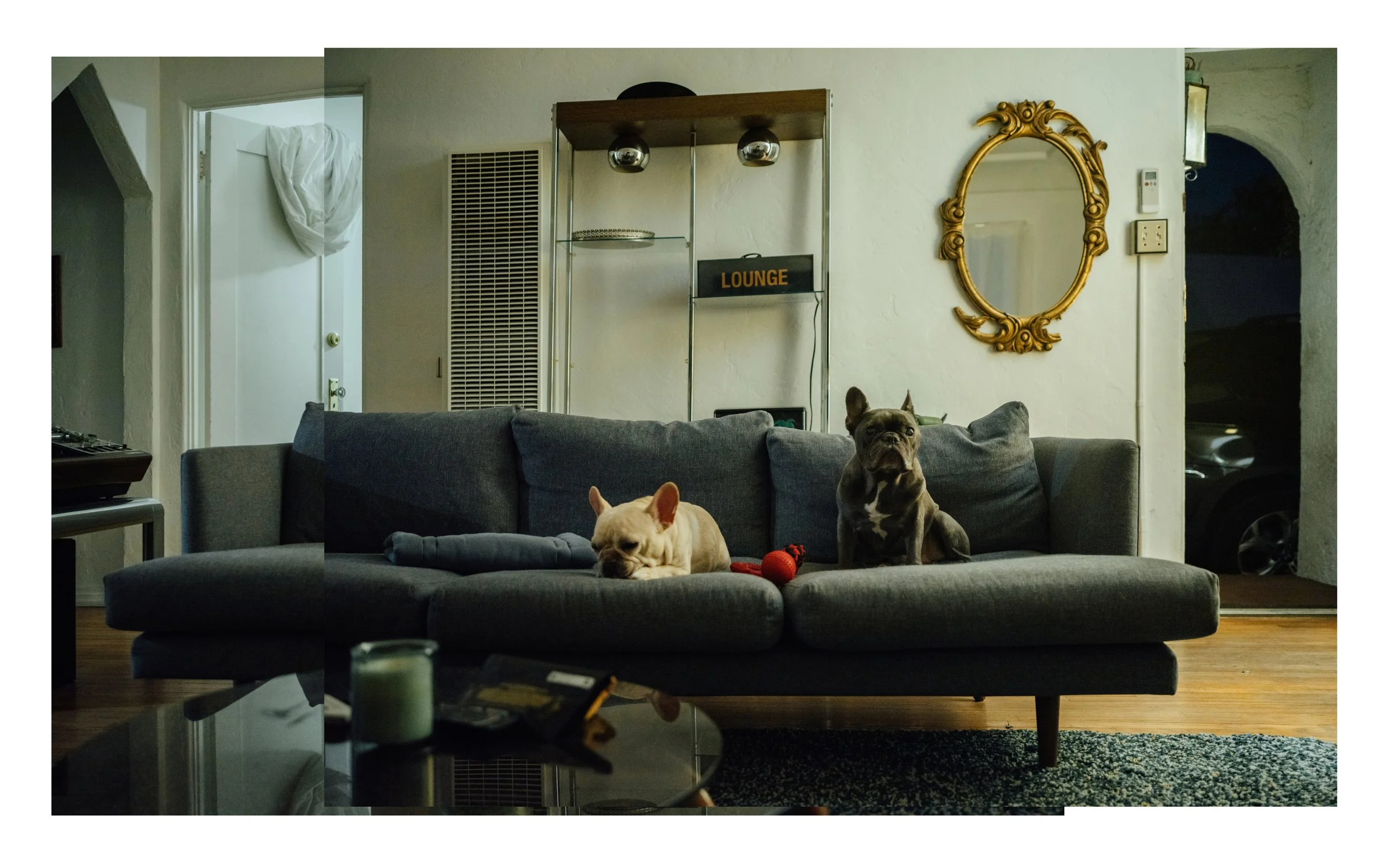 mac and ollie0429.jpg