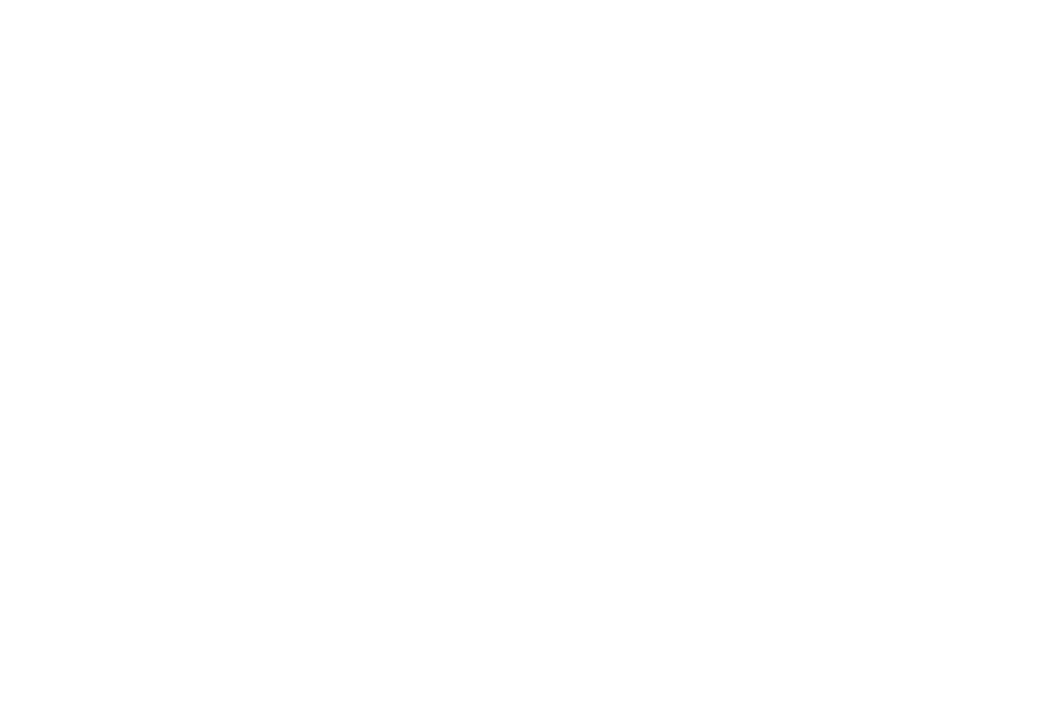 Hidden Splendor Beer