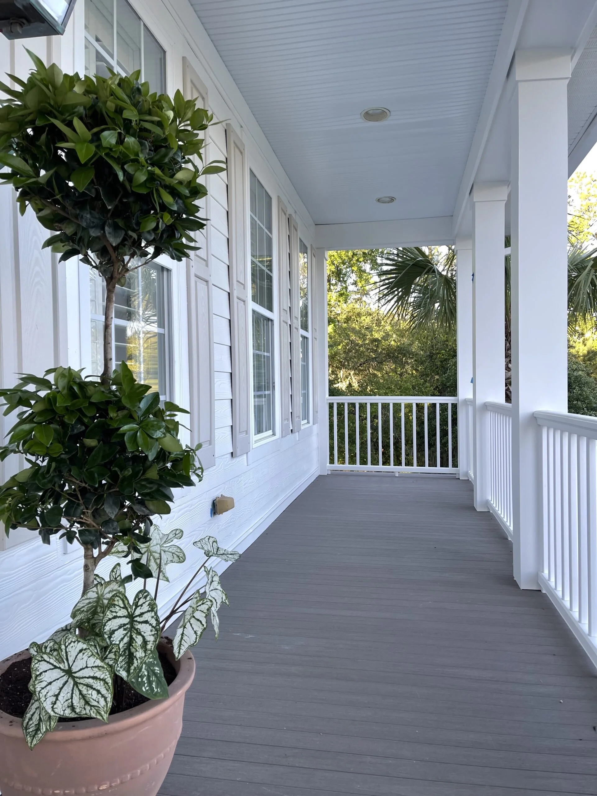 Front porch with white railings, light blue ceiling, windows along the wall, a potted topiary with green leaves, and a background of greenery.