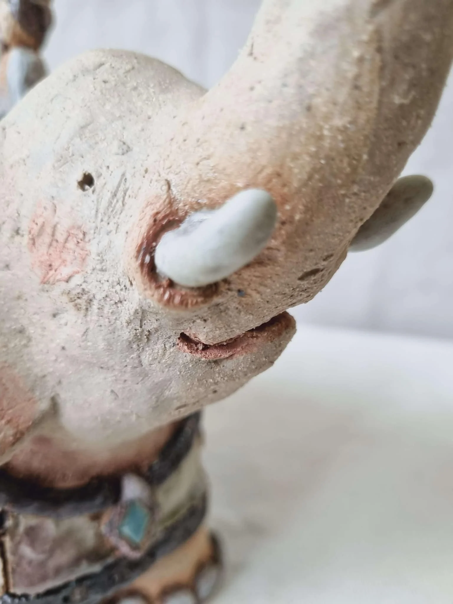 3102a73e-f3b0-405d-800d-dfc7370a2c57.jfif