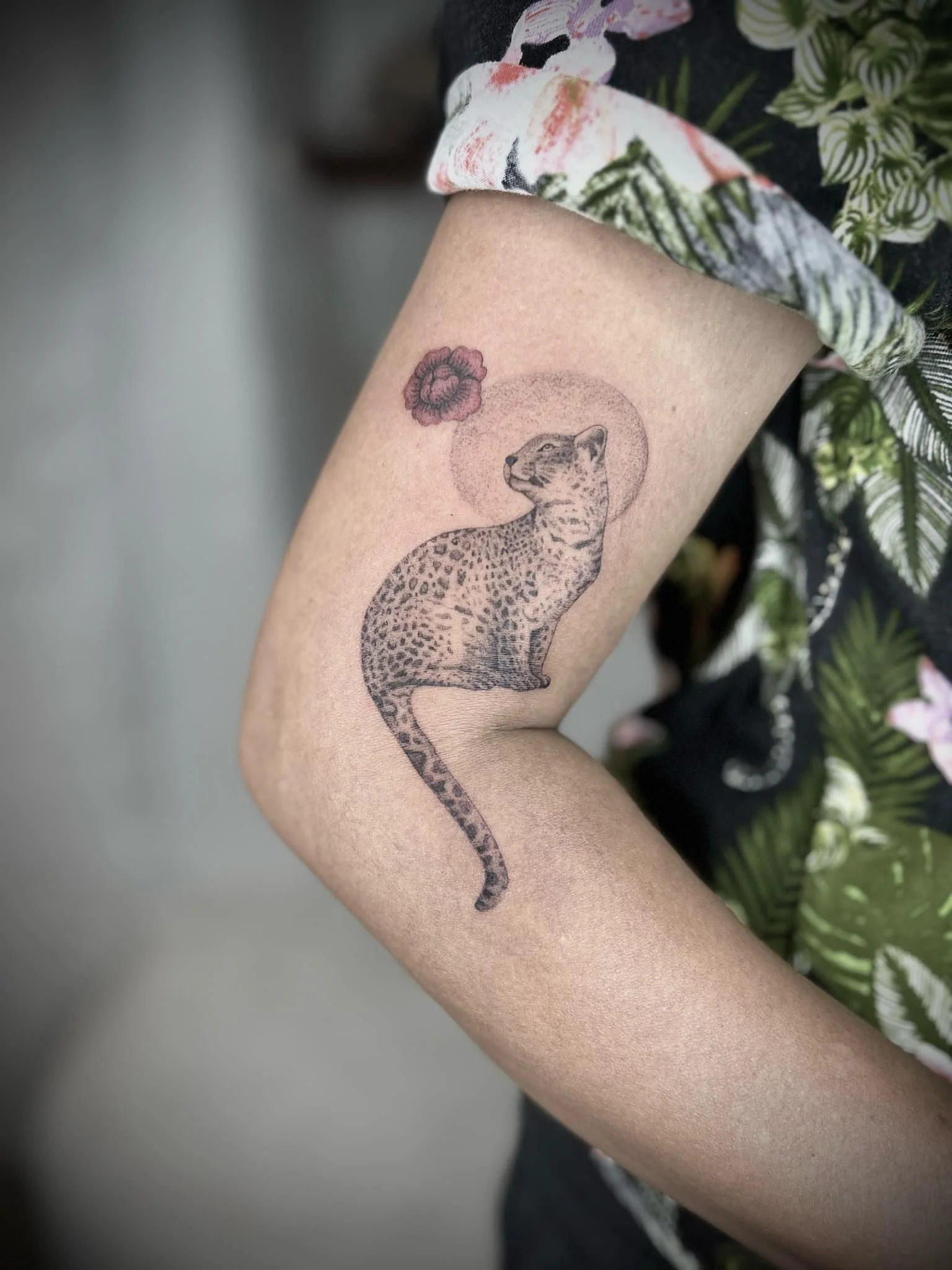 627165f2-e443-43c7-aa90-b95772063bd6.jfif