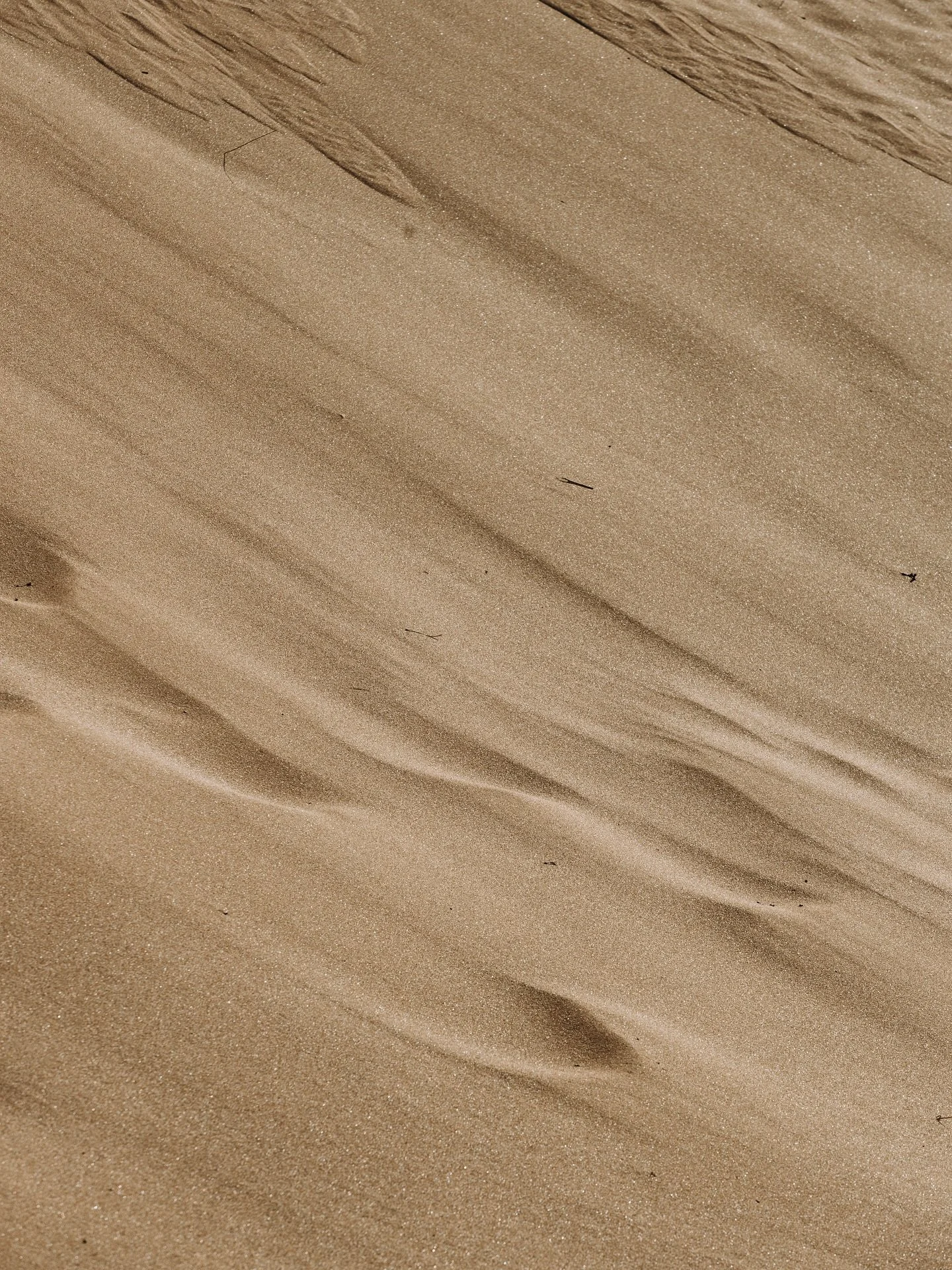 Ces petites choses qui &eacute;merveillent✨

Levez la main si vous aussi vous aimez arr&ecirc;ter le temps devant les petits d&eacute;tails de nos quotidiens

#slowcontent
#artdevivre
#escapepoetique
#carnetdevoyagevisuel
#architecturepoetique
#natur